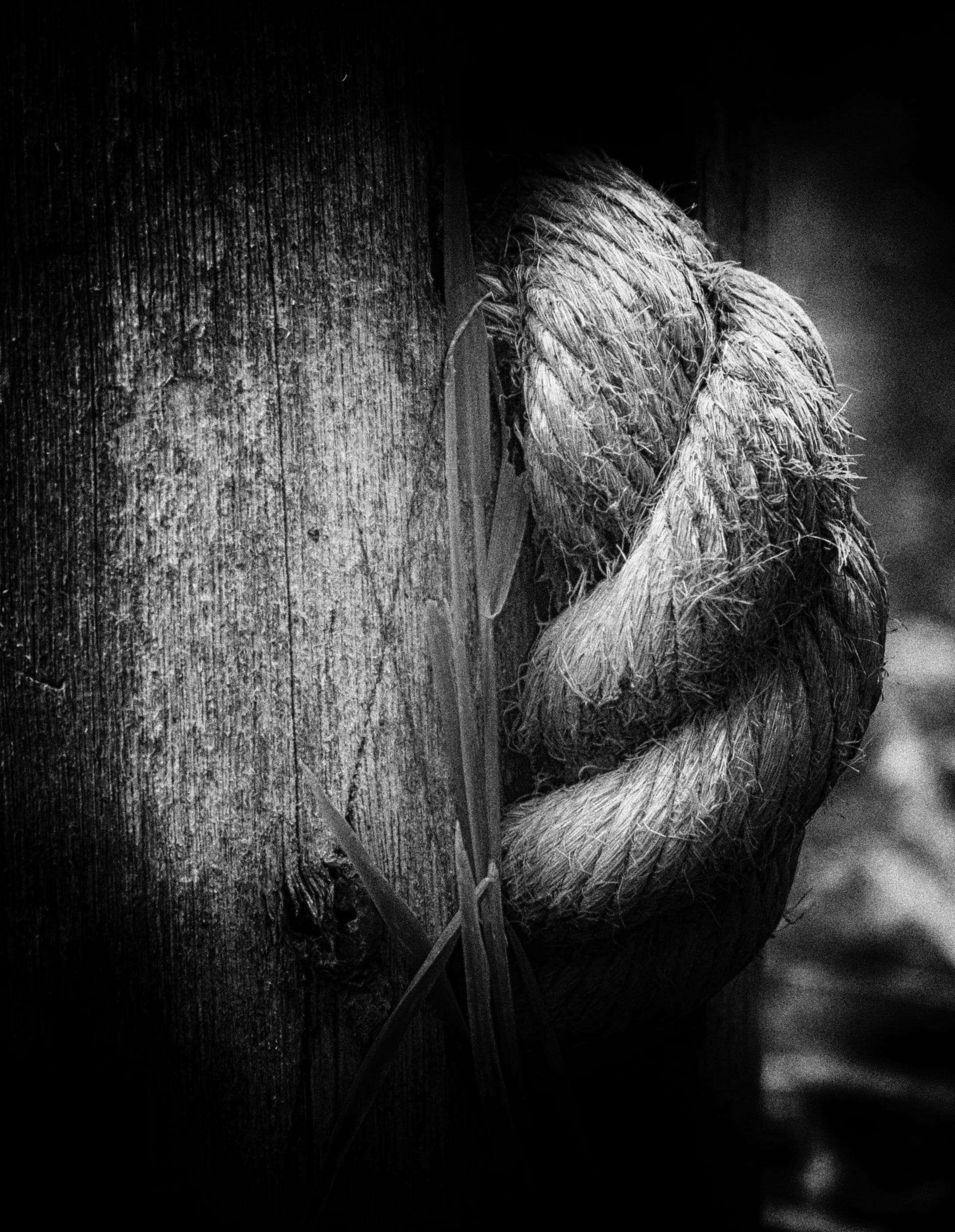 vignette, still life, indoors, rear view, day, knot, depression - sadness, art and craft, stump, sirhowy, 2K, wood, strength, hair, creativity, close-up, Phone HD Wallpaper