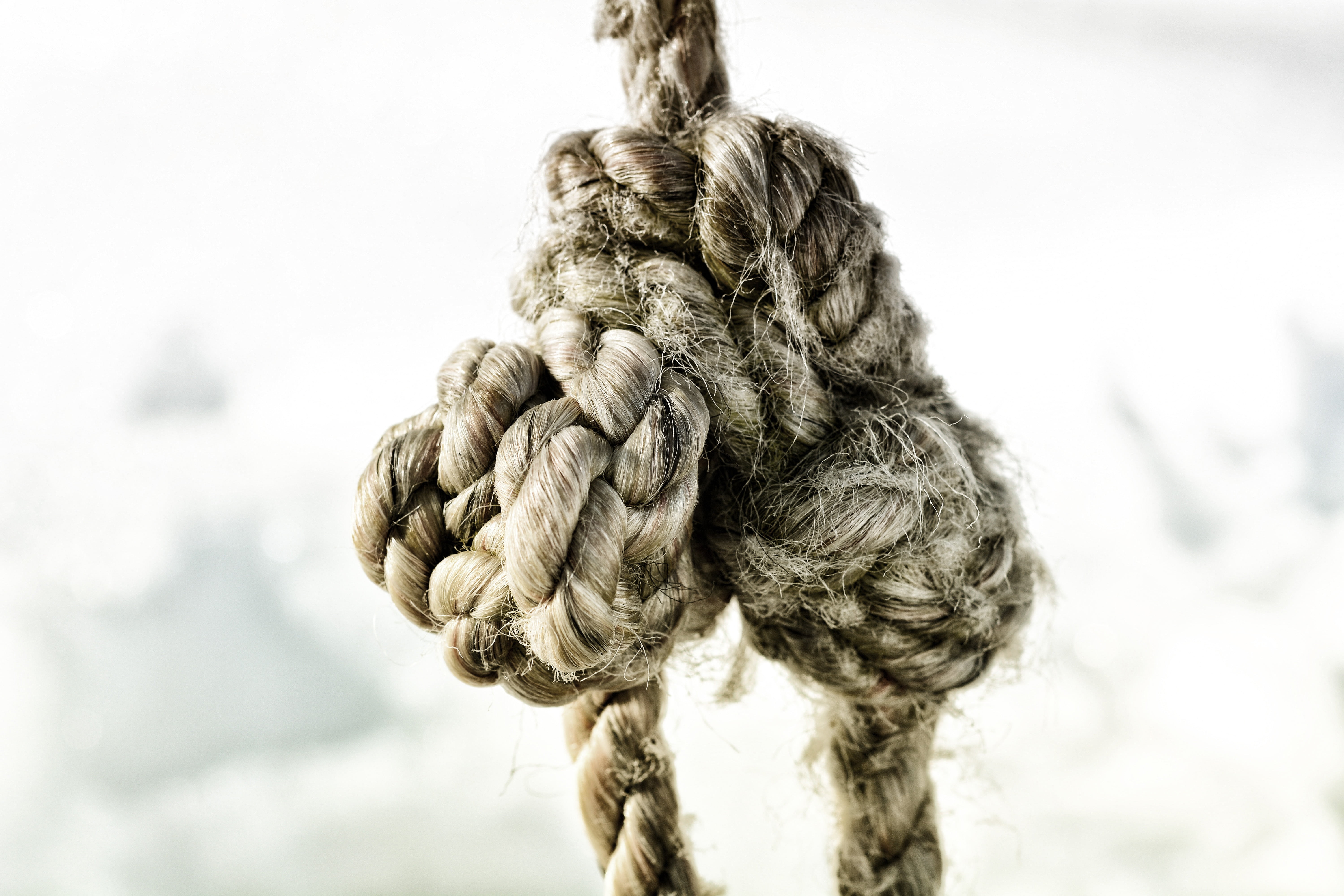 grayscale, hairstyle, knitting, tied, tied up, 5K, knot, dew, close-up, rope, braided hair, strength, portrait, primate, nature, close, siel, focus on foreground, HD Wallpaper