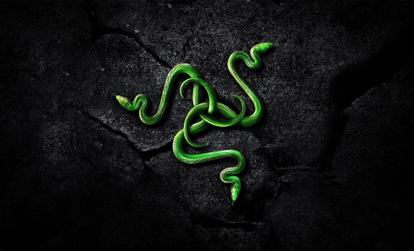 Hardware, curled up, green color, plant, nature, growth, snake, food and drink, indoors, spiral, still life, irl, leaf, Computers, studio shot, razer, pepper, HD Wallpaper
