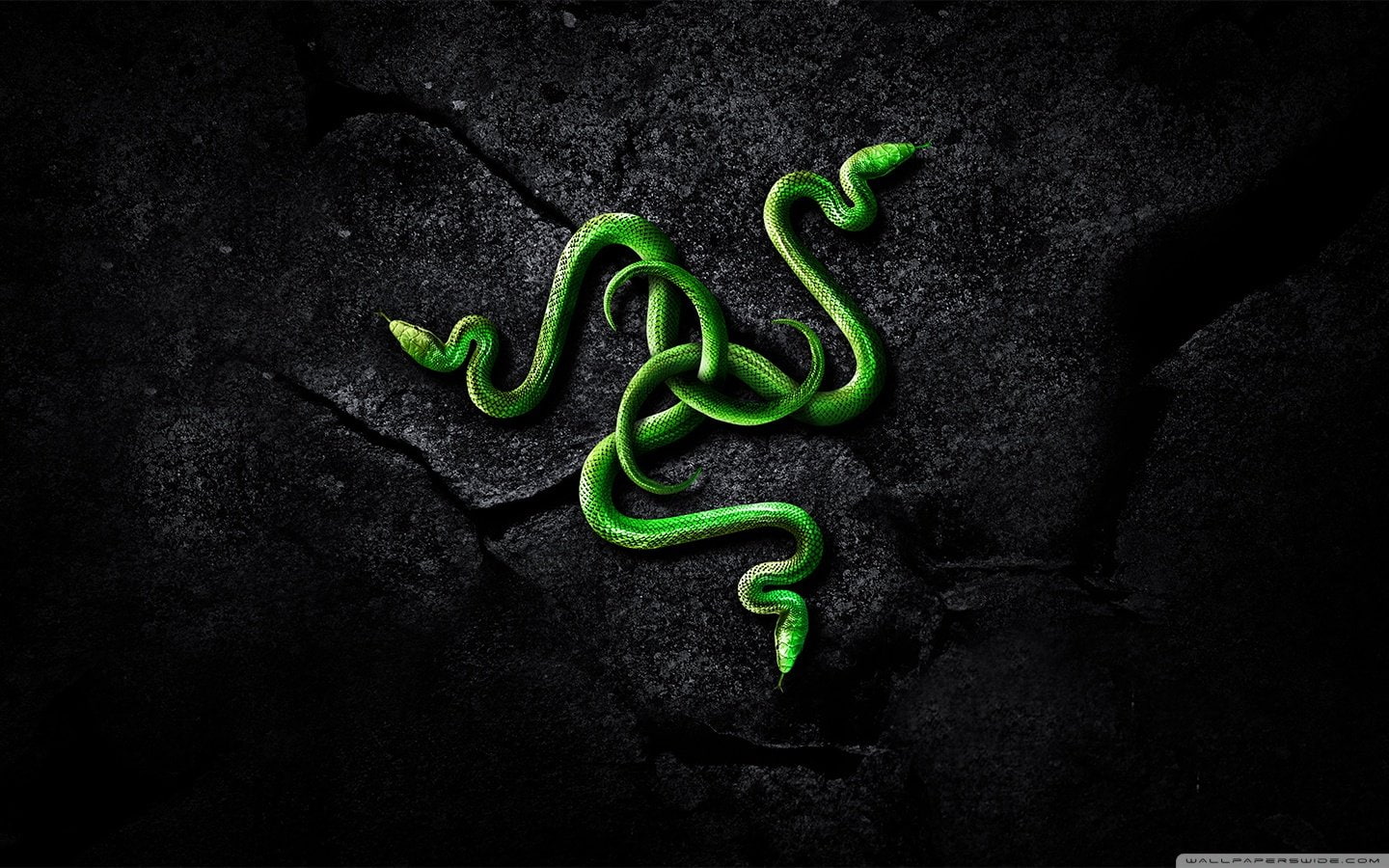 razer, irl  1440x900, 720P, HD Wallpaper