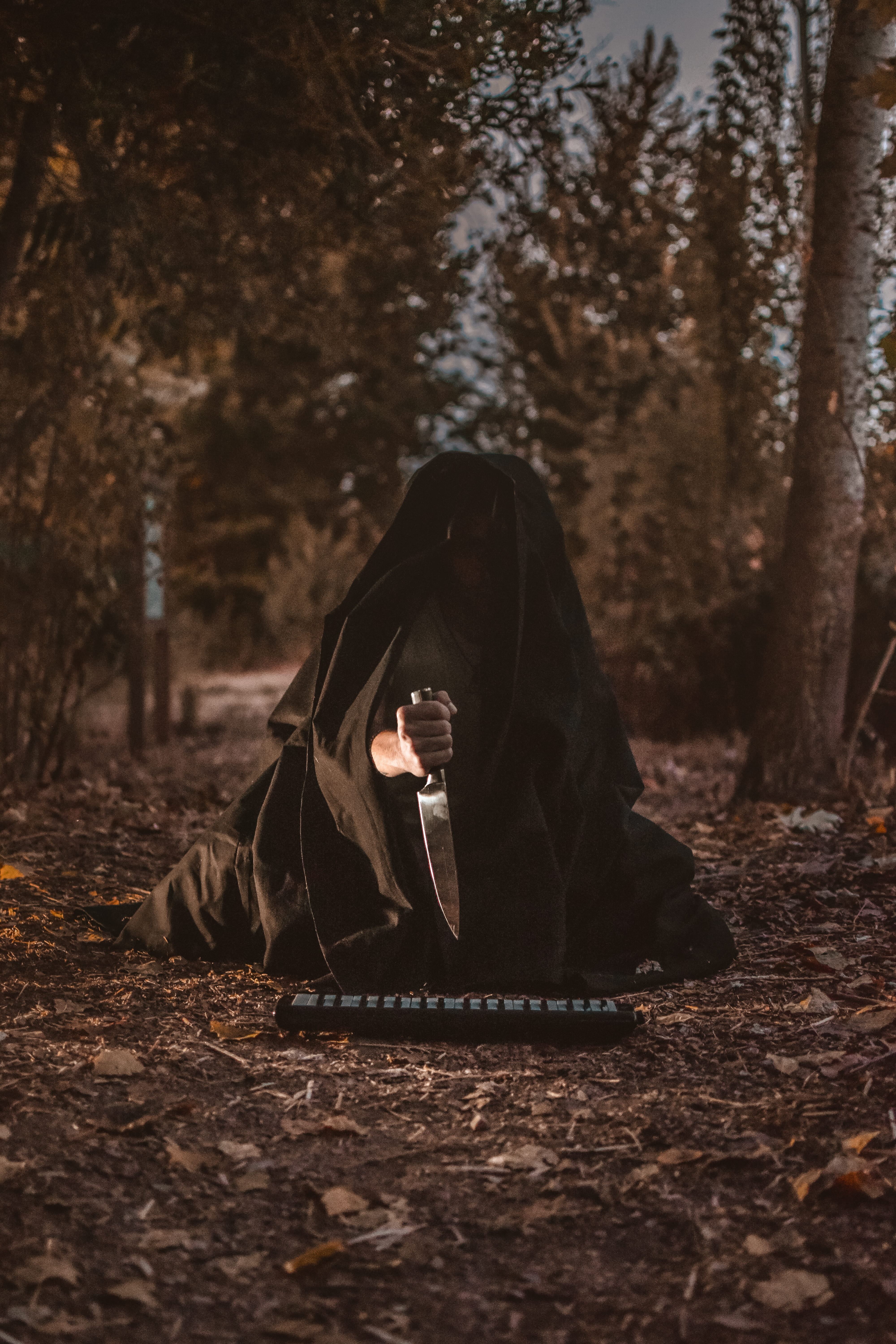 cloak, forest, 5K, woodland, obscured face, change, plant part, person, textile, full length, hand, day, autumn, one person, hood, leaf, field, real people, Phone HD Wallpaper