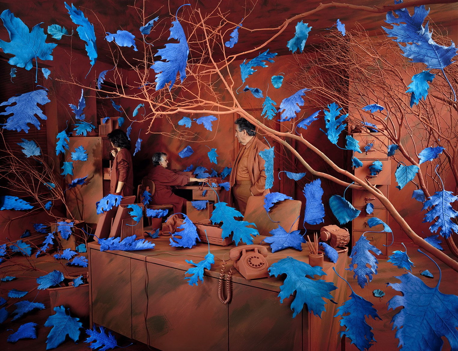 720P, brown room, growth, indoors, wall - building feature, leaf, red, still life, low angle view, leafed, blue, branch, day, full frame, plant, nature, HD Wallpaper
