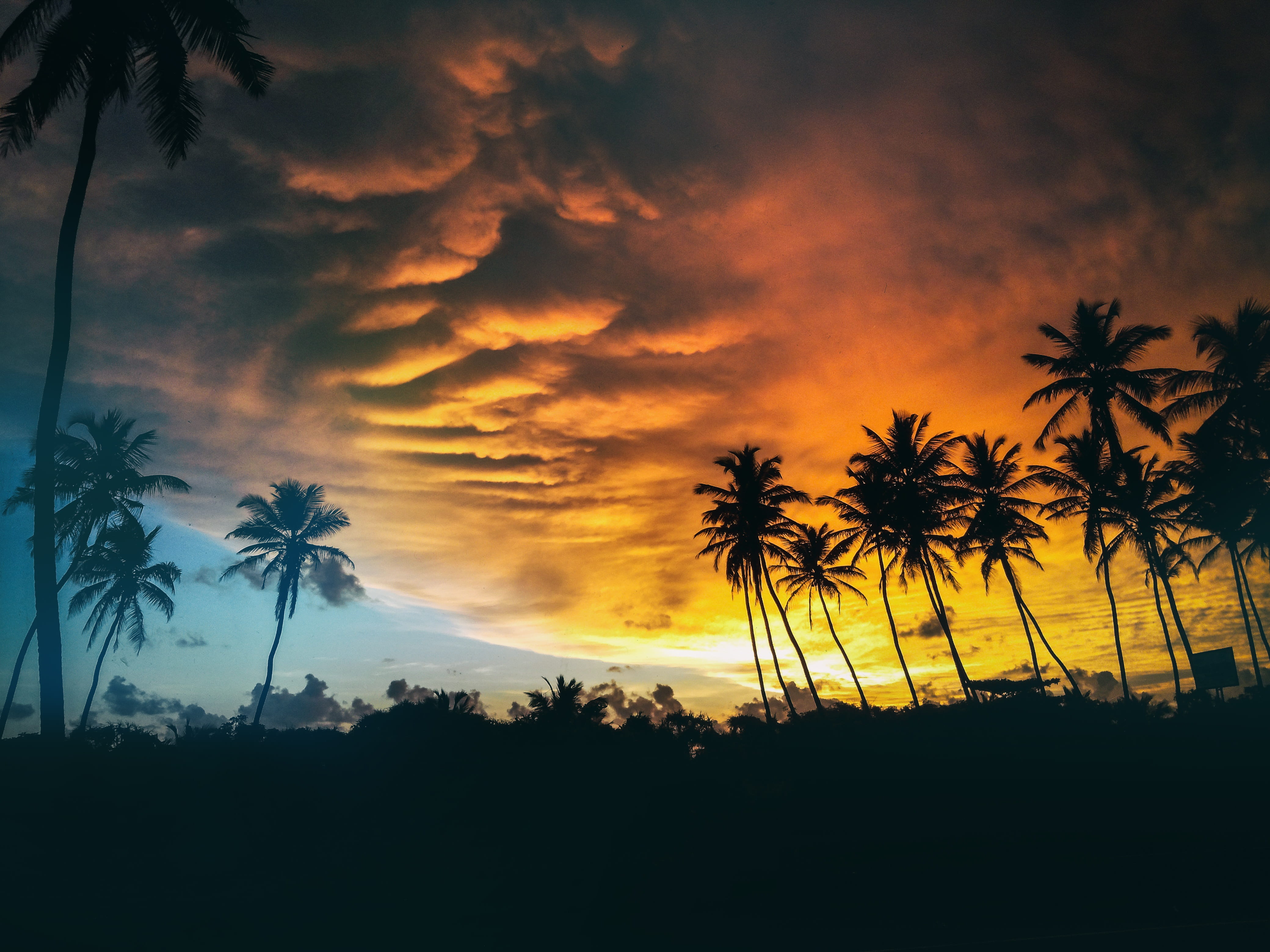 walk, trees, land, sunset, cloud - sky, photo, sky, tranquility, hot, outdoors, dramatic sky, shooters, scenics - nature, no people, hub, beach, 4K, feminism, HD Wallpaper