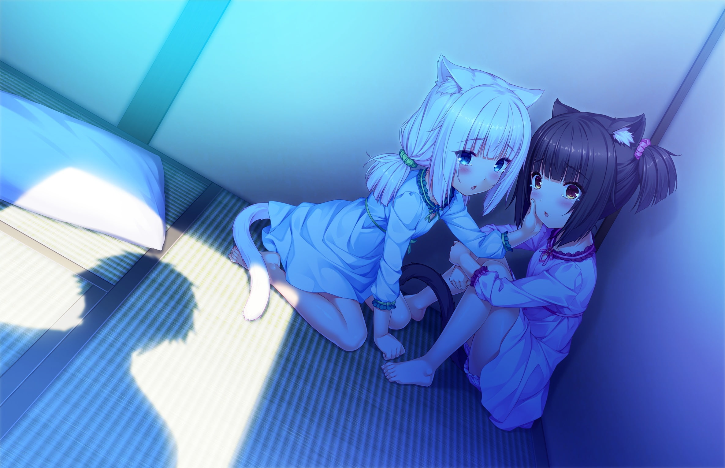 high angle view, tail, girls, togetherness, 2girls, leisure activity, sister, com, short, real people, catgirl, black, neko, looking at camera, childhood, HD Wallpaper