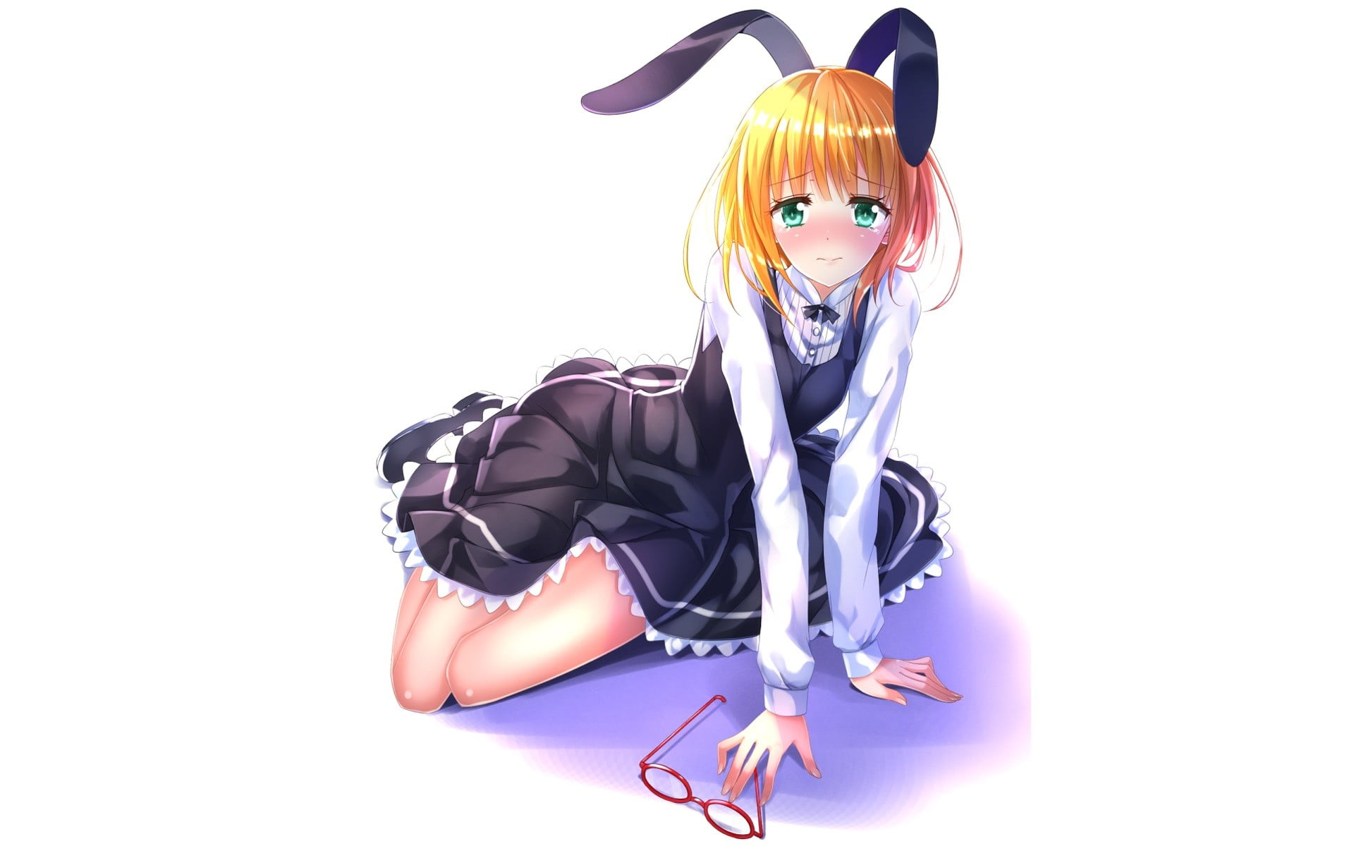 Sekai Seifuku: Bouryaku no Zvezda, hairstyle, hair, young adult, digital composite, 1080P, animal ears, fashion, women, anime, green eyes, full length, HD Wallpaper