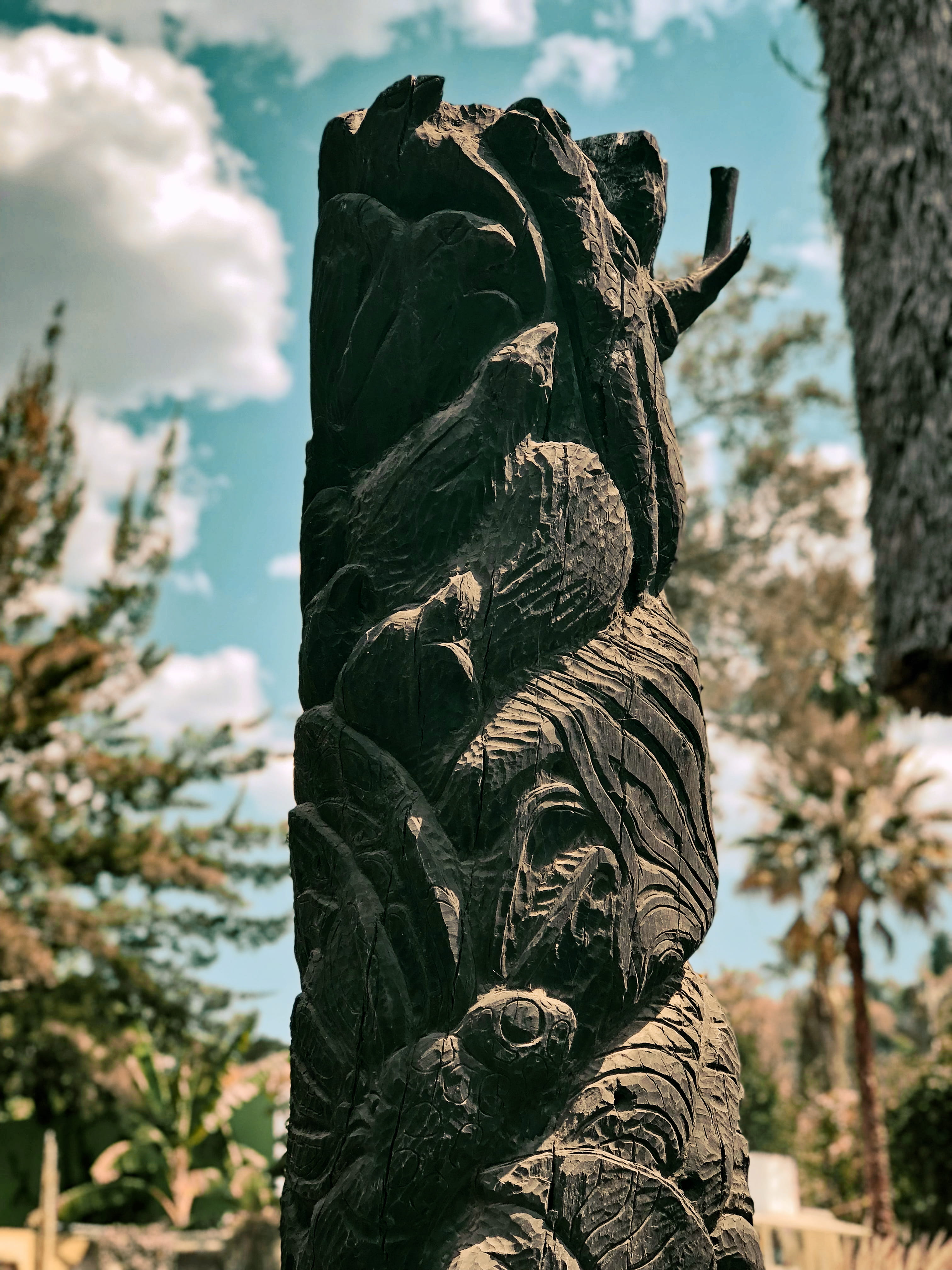 art and craft, representation, sculpture, nature, outdoors, mammal, calzada juárez s/n, culture, no people, statue, low angle view, craft, tree, mexico, Phone HD Wallpaper