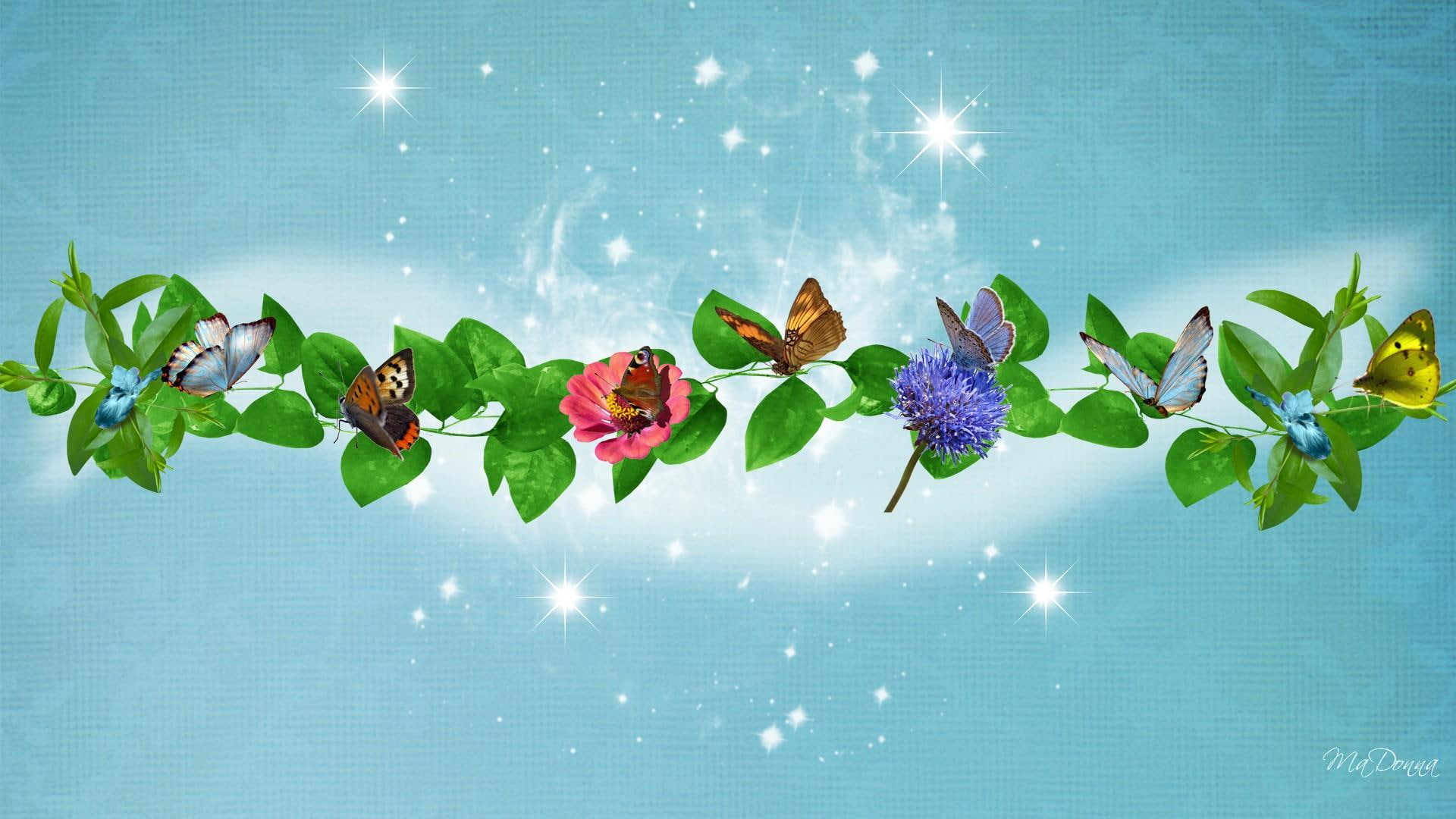 butterfly, flowers, leaves, vine, color, butterflies, blossoms, butteflies, floral, 1080P, delightful, firefox persona, blue, stars, HD Wallpaper