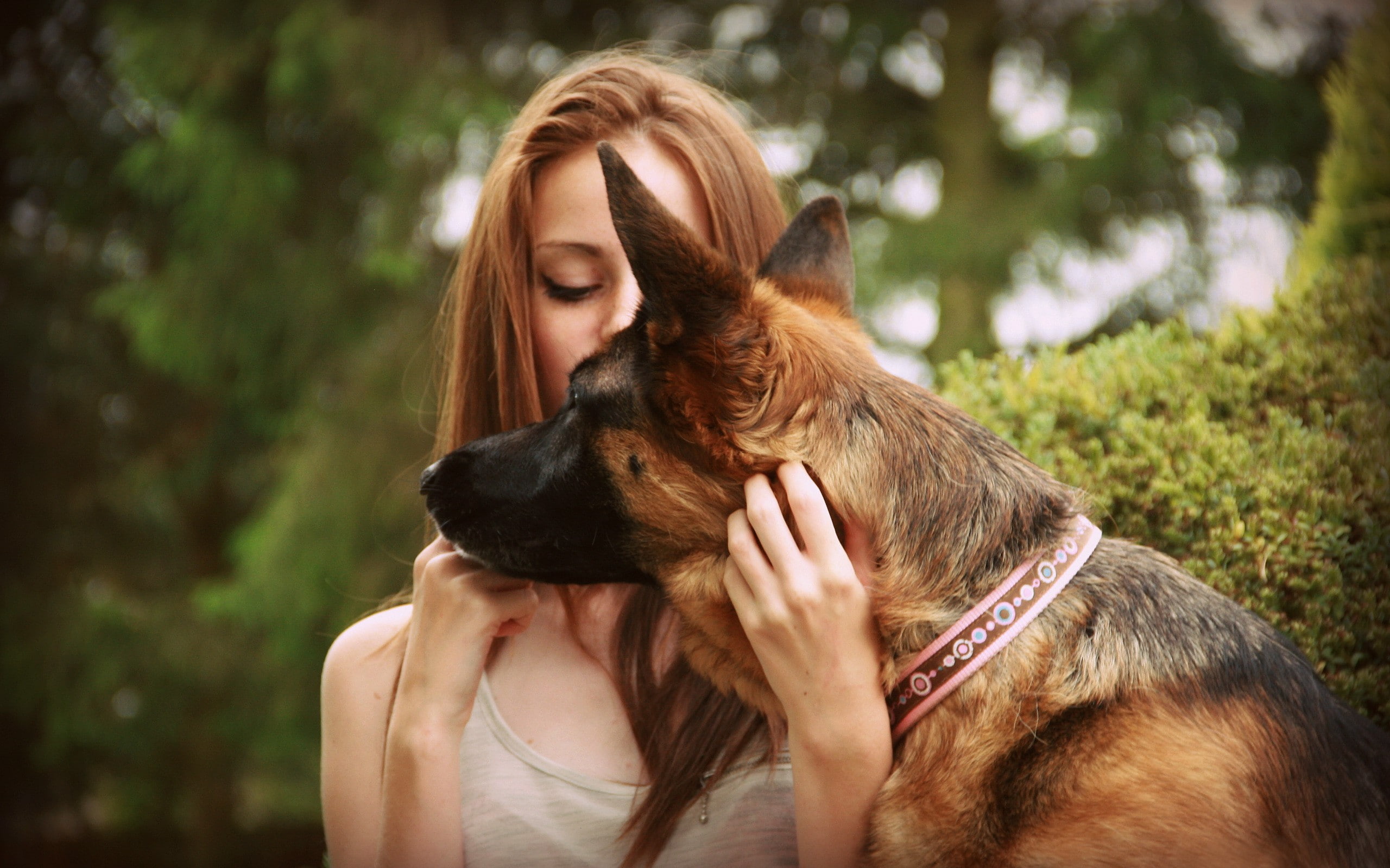 german, shepherd, girl, 2K, German Shepherd, Dog, HD Wallpaper