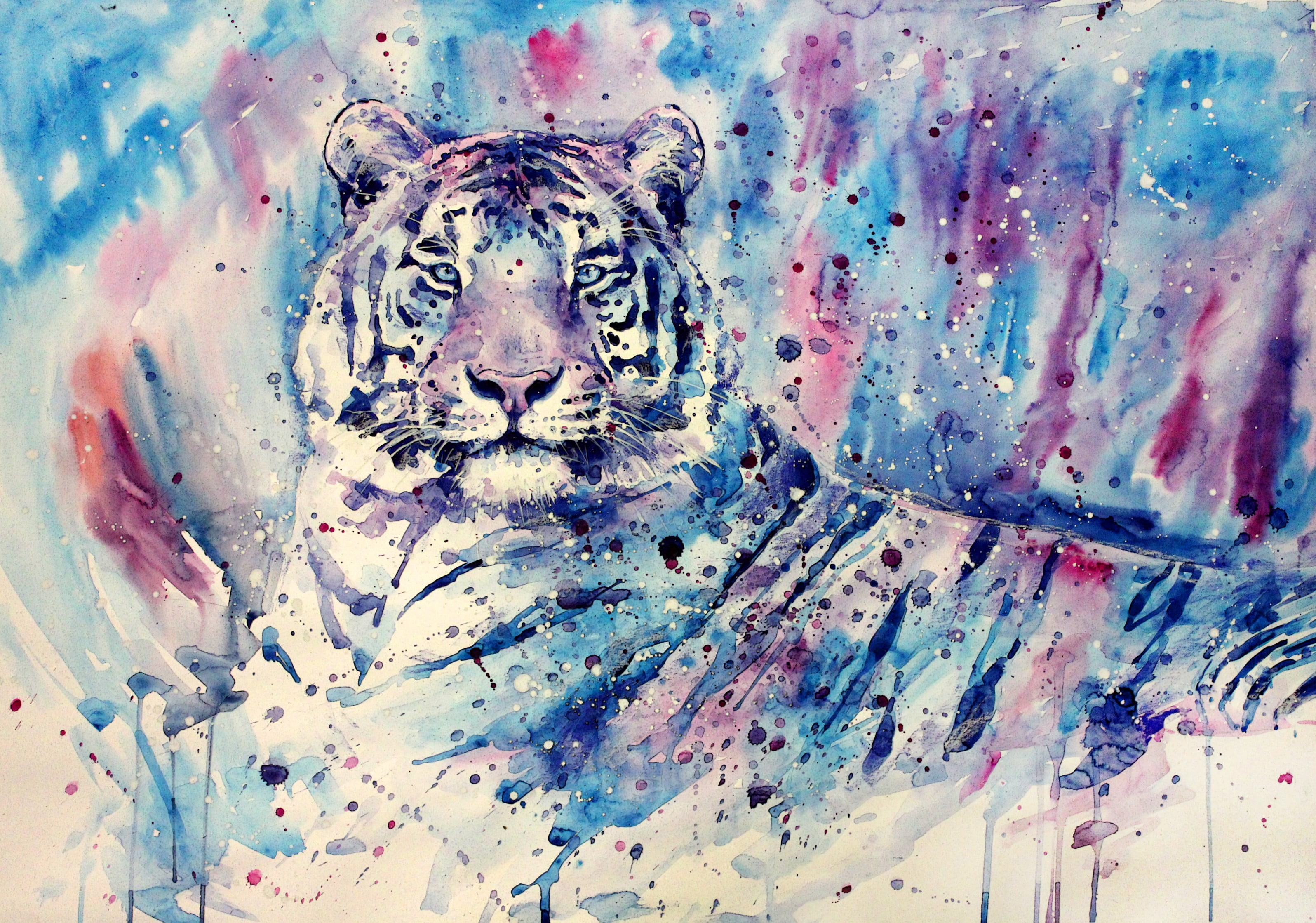 human representation, no people, the past, albino, craft, watercolor, tiger, 2K, built structure, history, representation, purple, painting, wall - building feature, HD Wallpaper