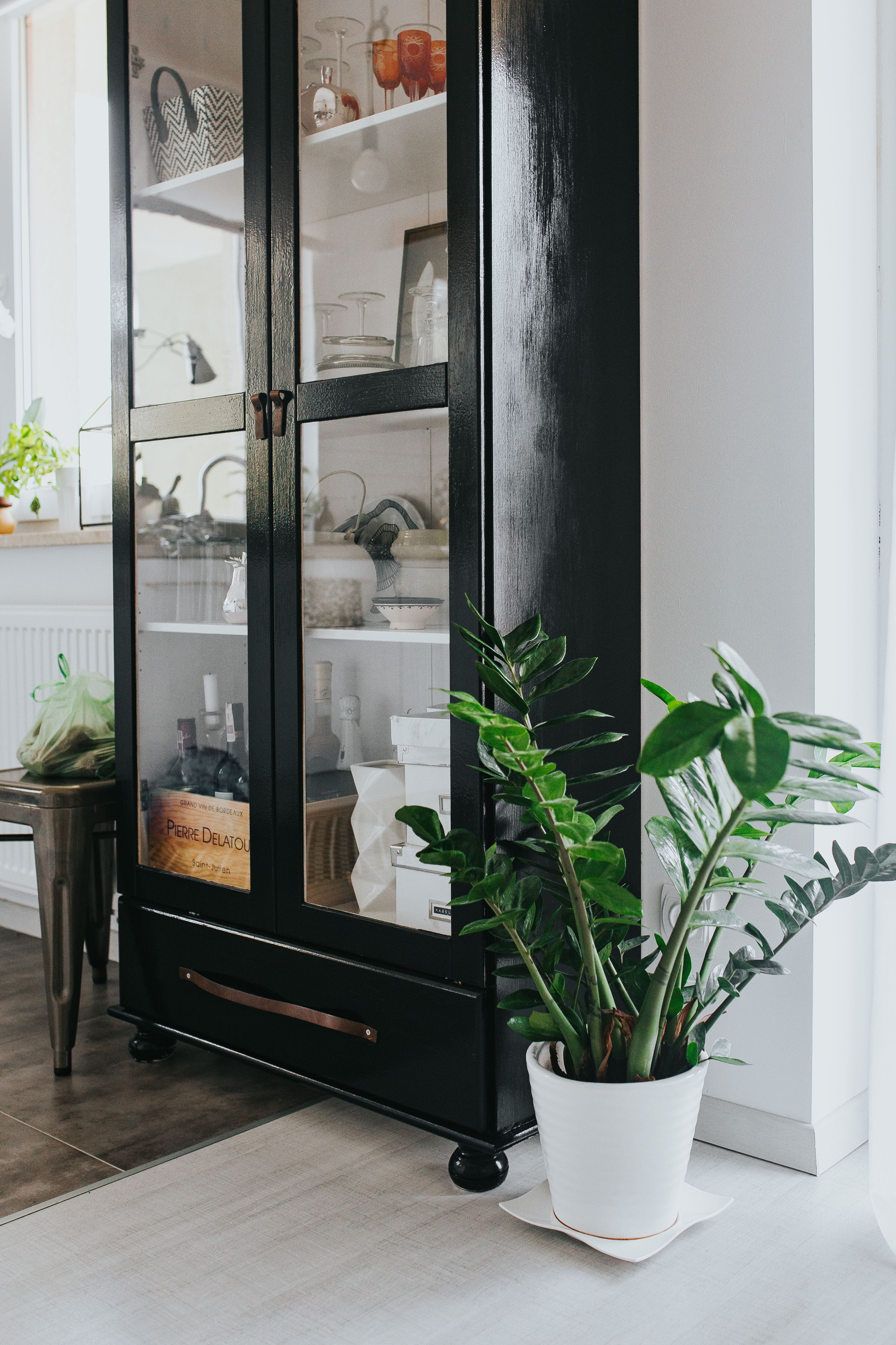 architecture, flooring, decoration, table, shelf, transparent, window, decor, indoors, nature, door, home Interior, plant, home, open, no People, house, Phone HD Wallpaper