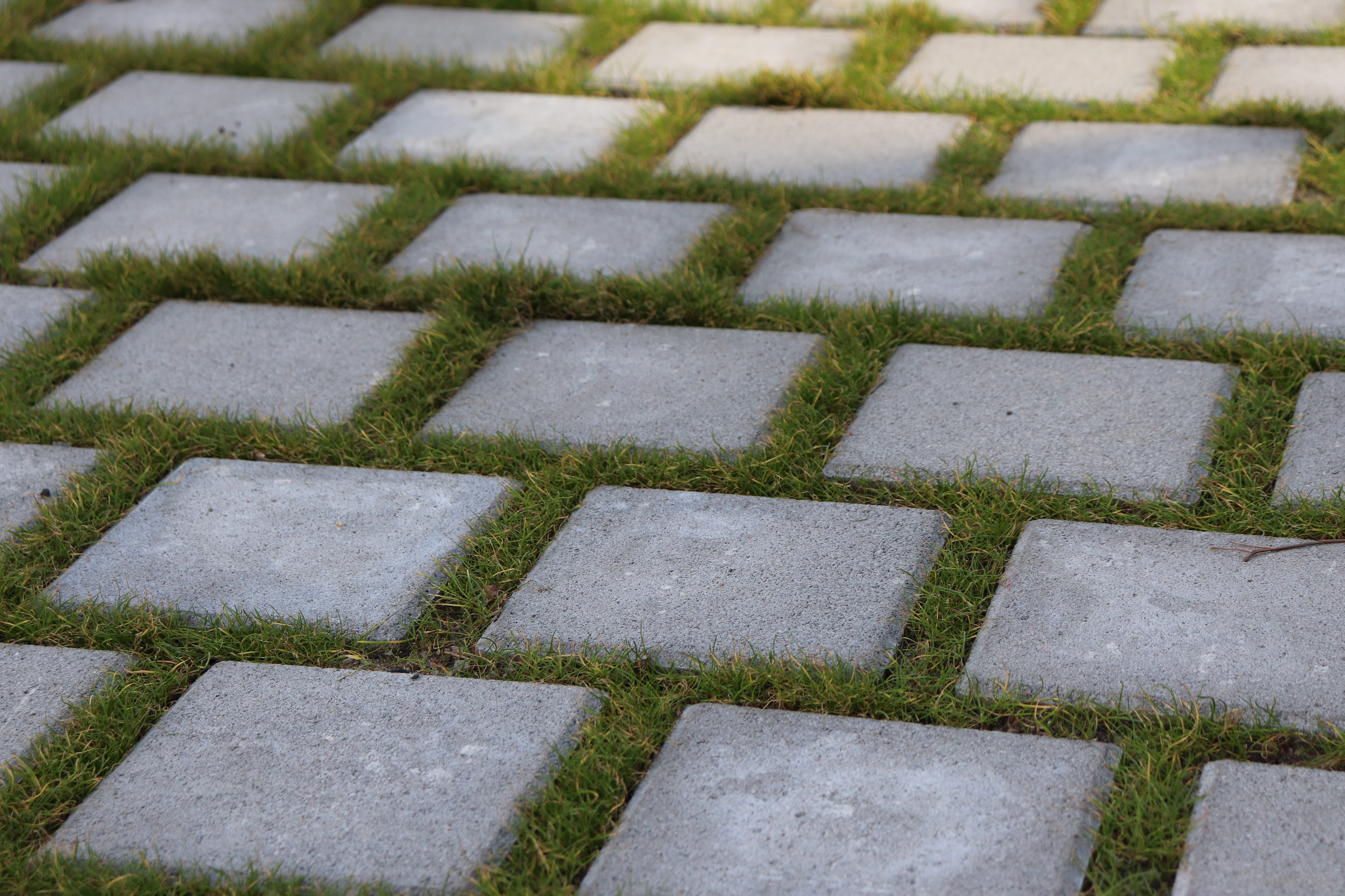 day, moss, high angle view, paving stone, flagstone, shape, garden path, ground, slate, green color, stone - object, pavement, vegetation, grass, stone material, HD Wallpaper