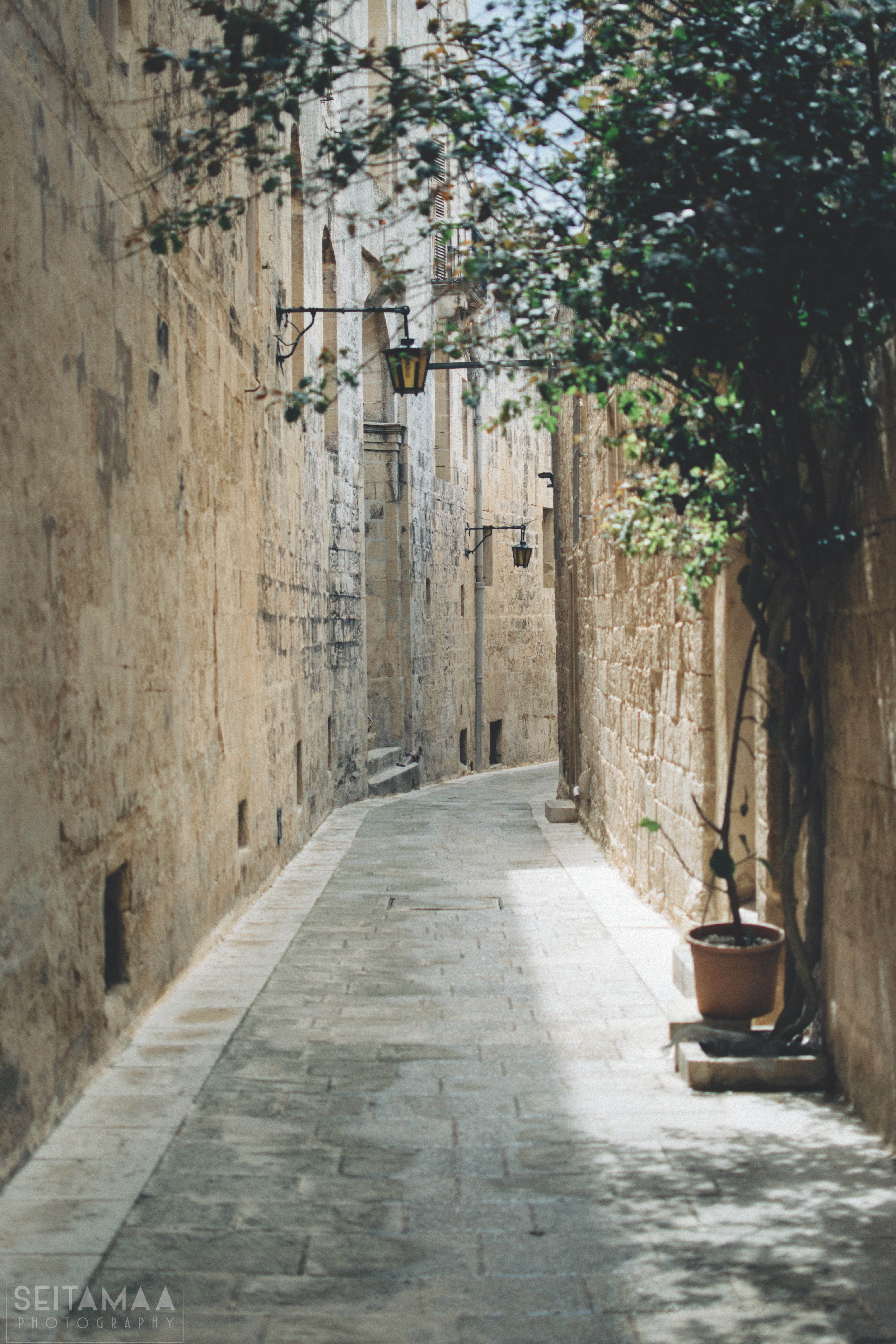 town, sidewalk, nature, 5K, long, diminishing perspective, residential district, the way forward, wall, road, alleyway, path, arbour, building exterior, Phone HD Wallpaper