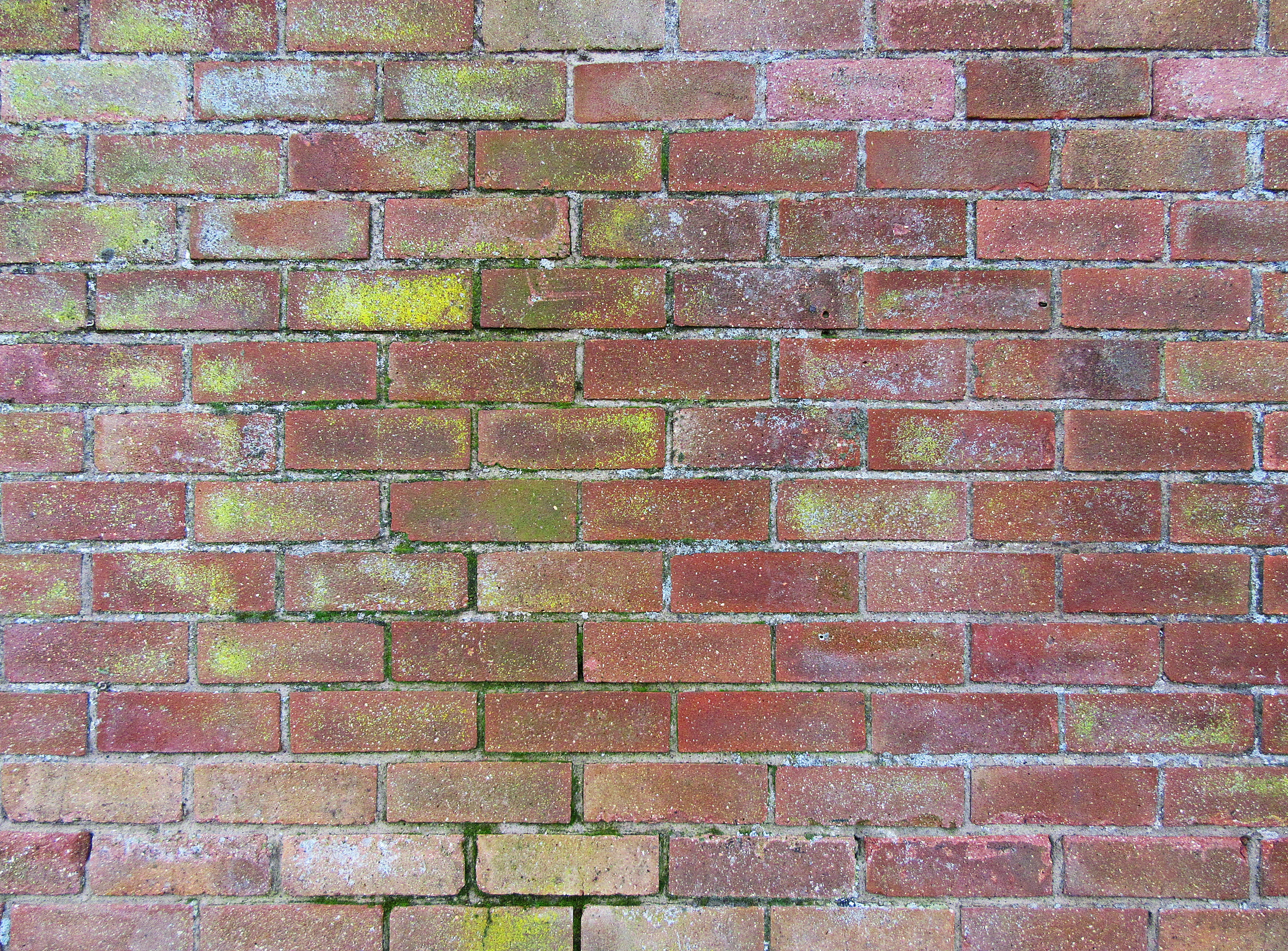 brick wall, rough, moss, path, wall, no people, architecture, flagstone, brick, cobblestone, repetition, rug, bricks, ground, pavement, wall - building feature, HD Wallpaper
