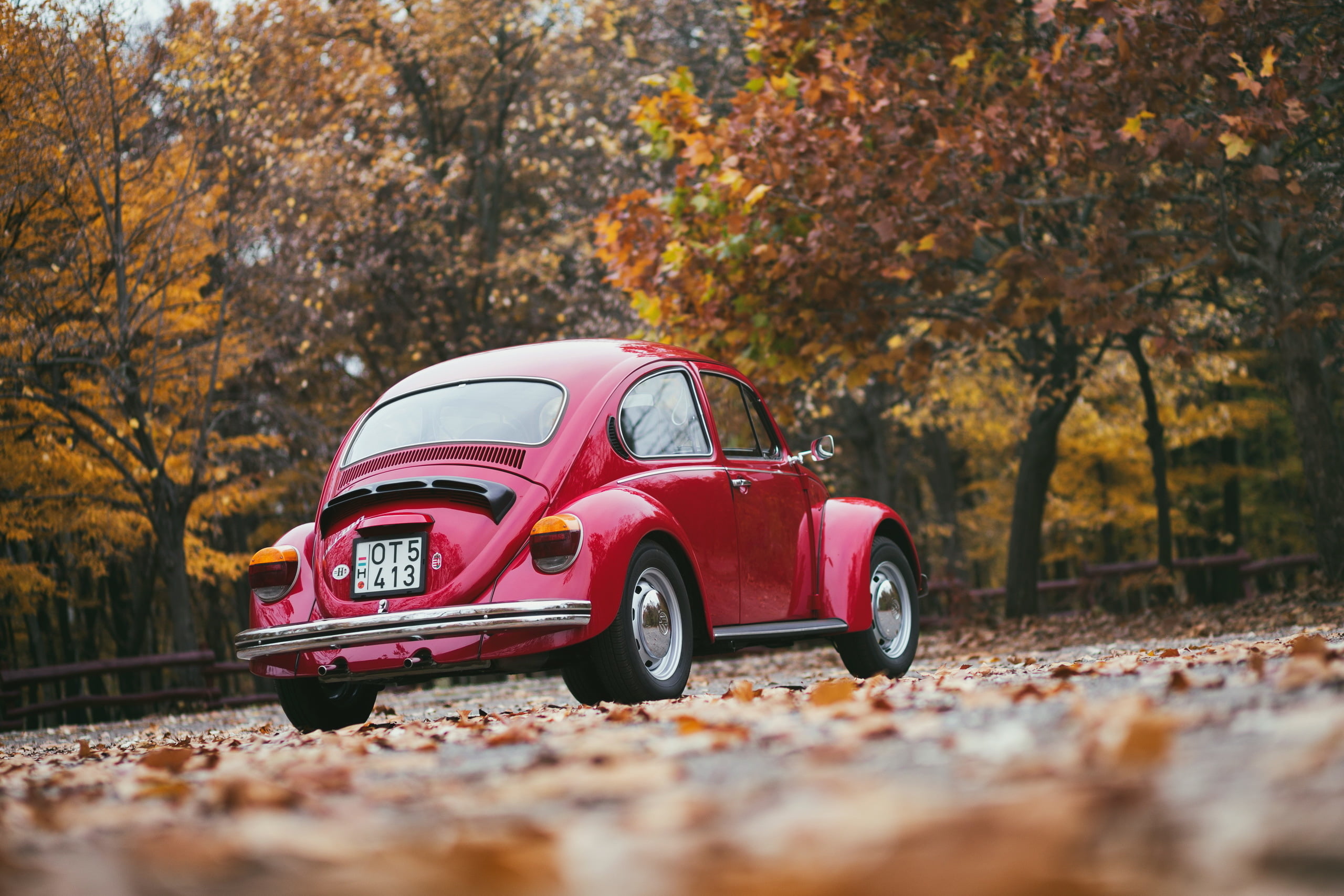 mode of transportation, leaf, sedan, tree, transportation, land Vehicle, rear view, small, coupe, volkswagen, germany, looking At View, chrome, sports Car, HD Wallpaper