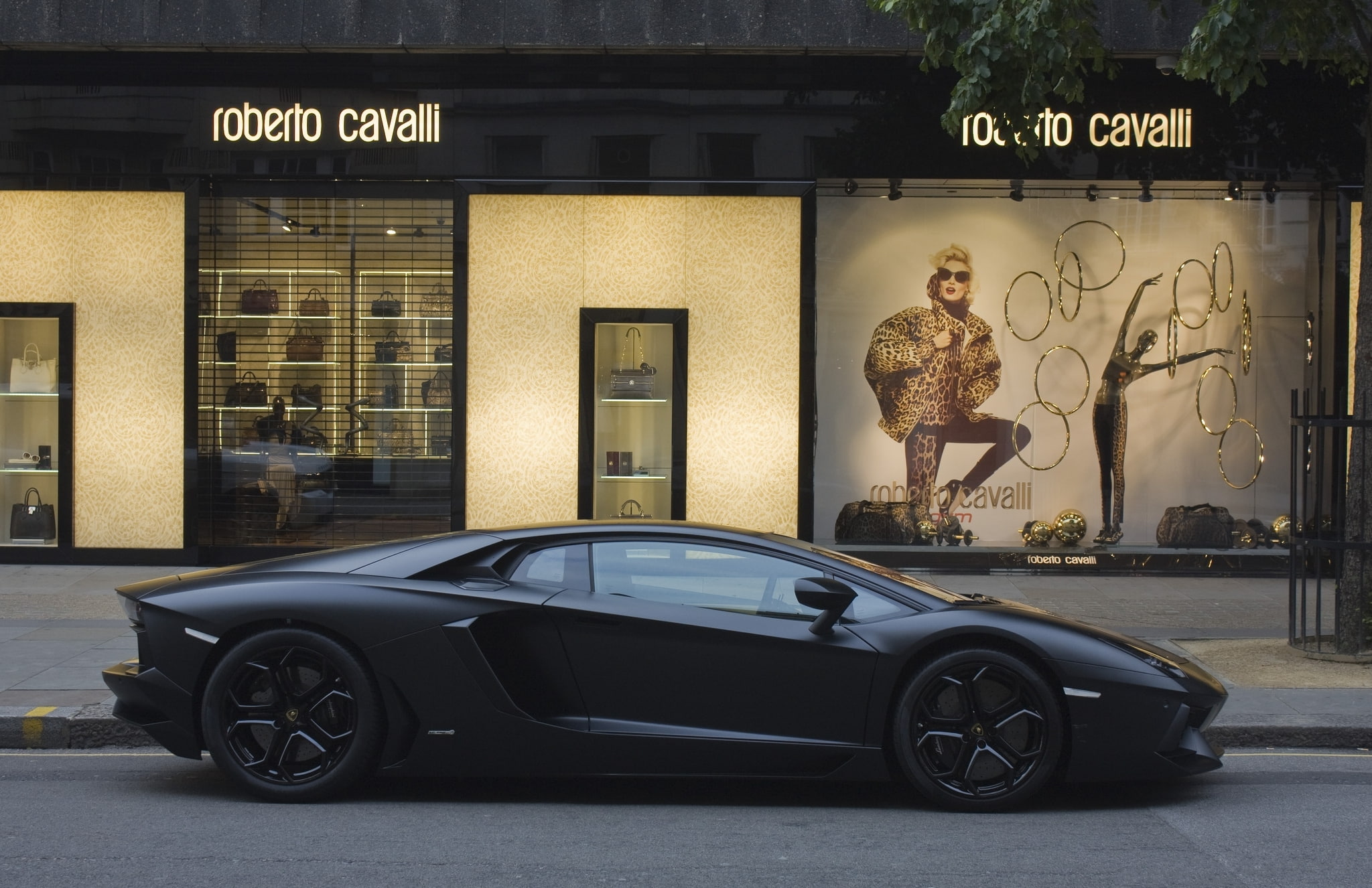 art and craft, expense, creativity, sports Car, matte black, transportation, full length, shop, Roberto Cavalli, black, profile, mode of Transport, built structure, HD Wallpaper