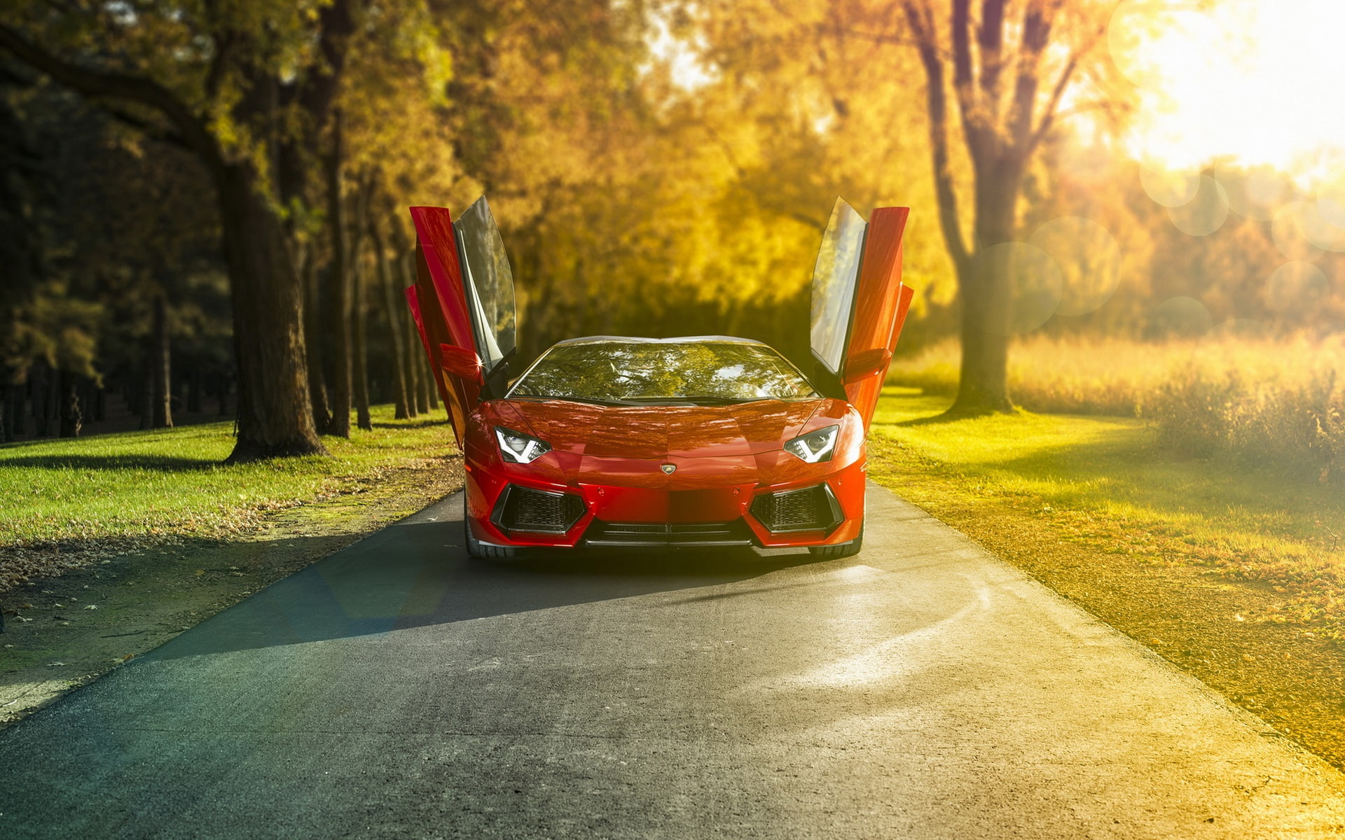 1080P, Supercar, lp, Morning, Sun, Lamborghini, aventador, Red, HD Wallpaper