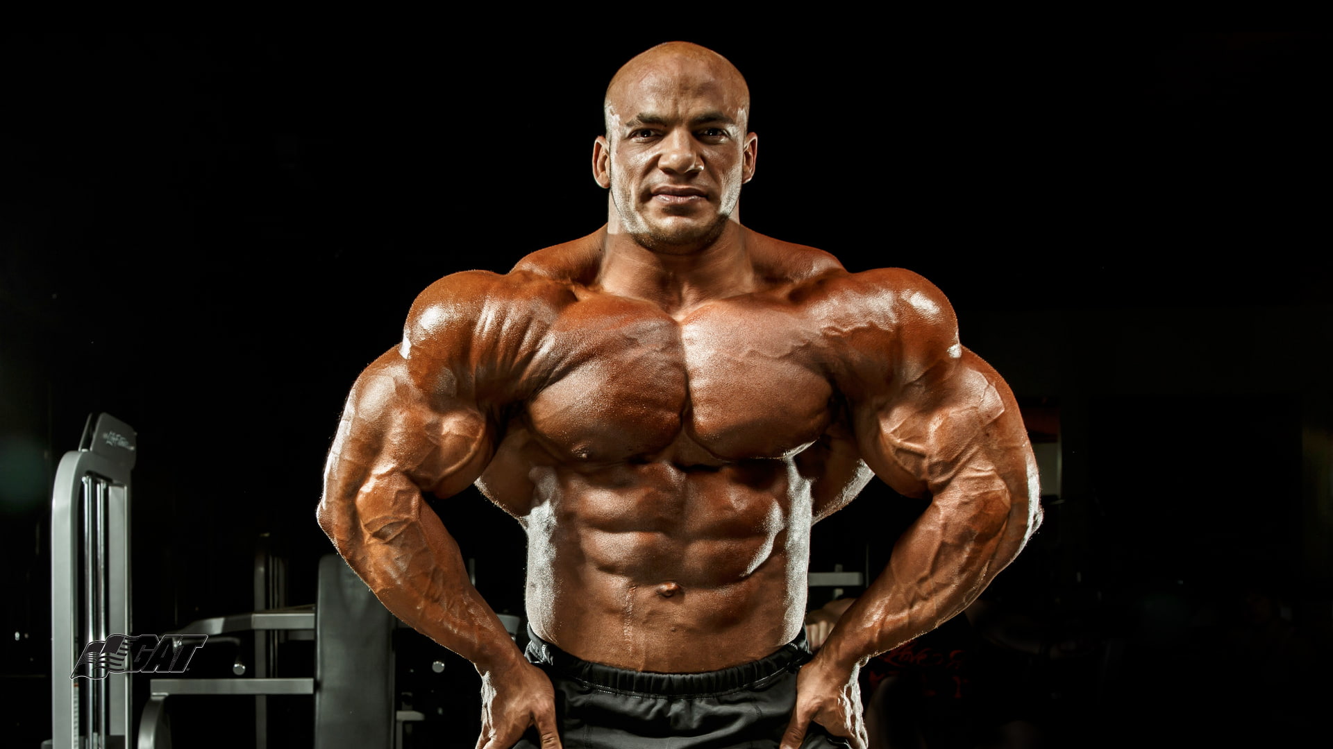 chest, males, bodybuilding  pictures, bicep, lifestyles, vitality, sports training, 1080P, muscular build, body part, shirtless, exercising, weight, black background, HD Wallpaper