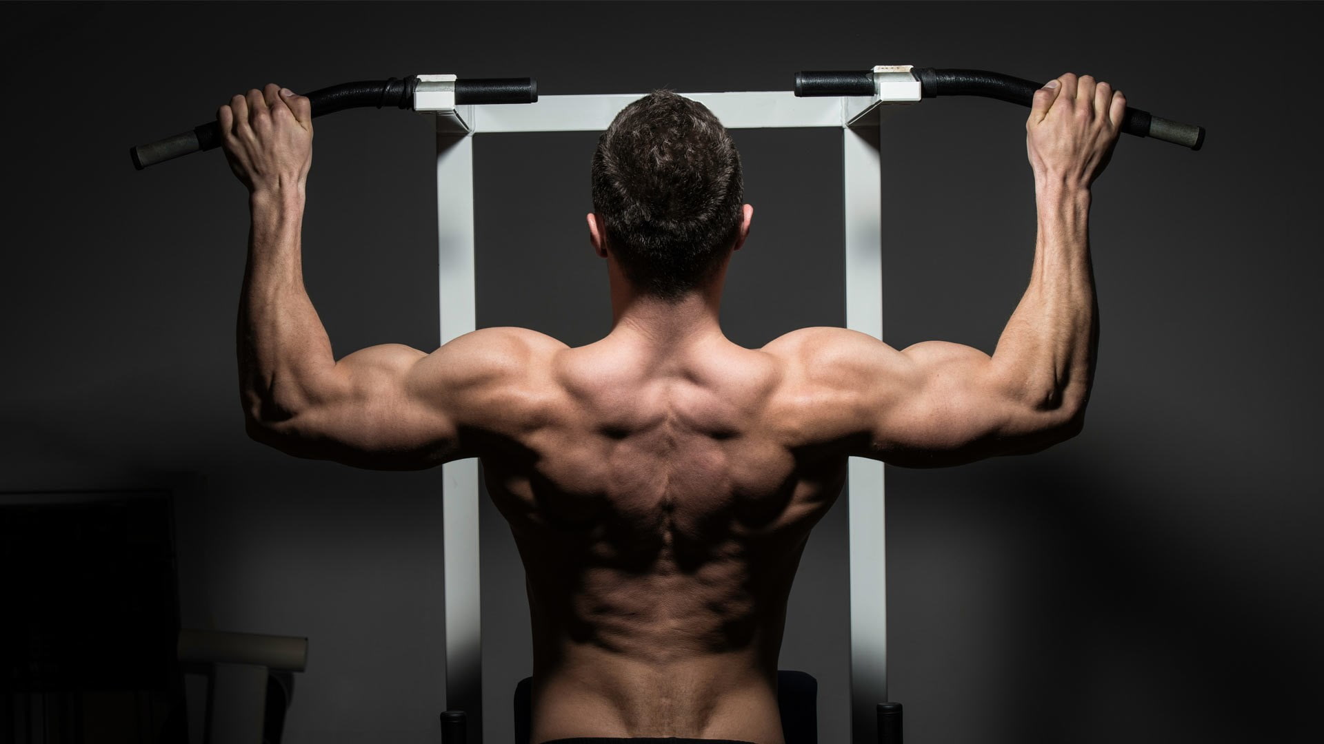 weight training, exercising, human back, lifestyles, sports training, one person, strength, adult, bicep, fitness pictures desktop, body part, athlete, HD Wallpaper