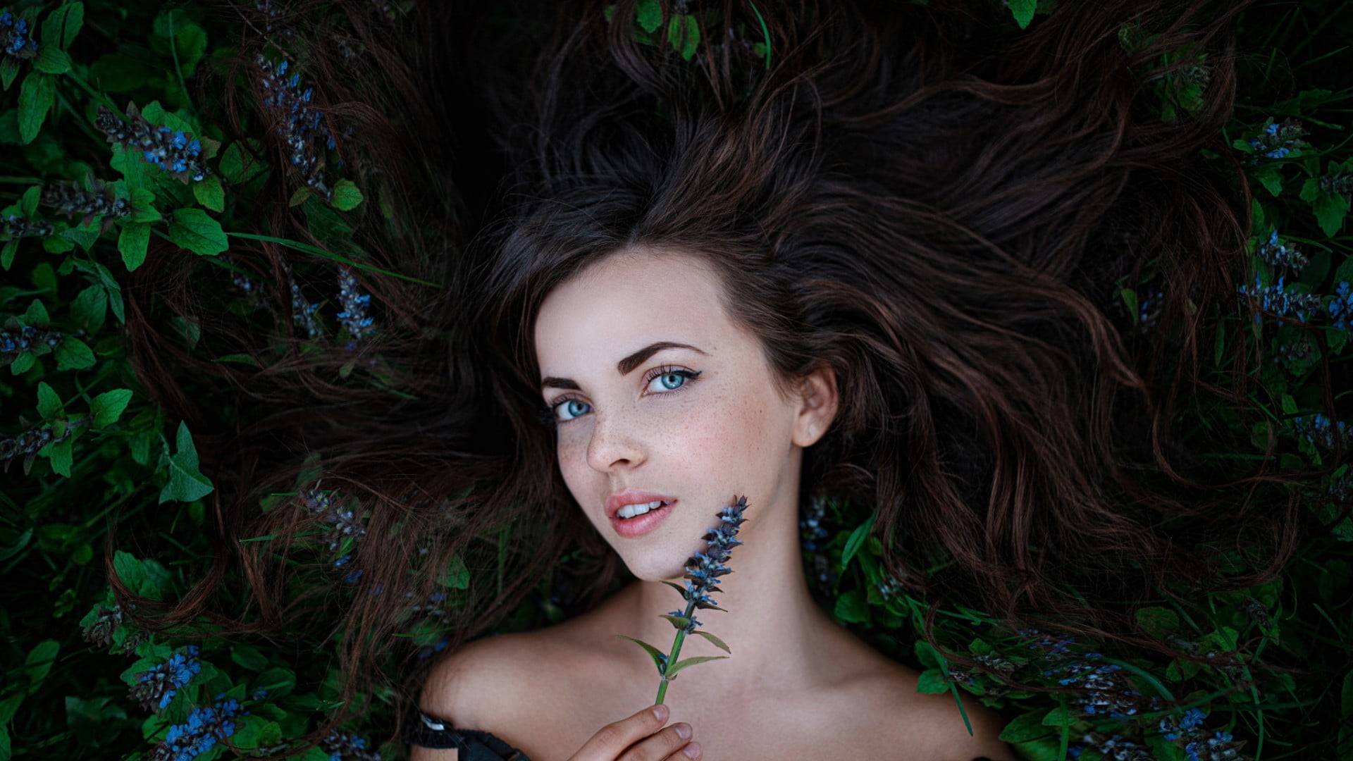 portrait, model, blue eyes, leafed, women, 1080P, looking at camera, human hair, beautiful woman, young women, young adult, human face, brown hair, beautiful people, HD Wallpaper