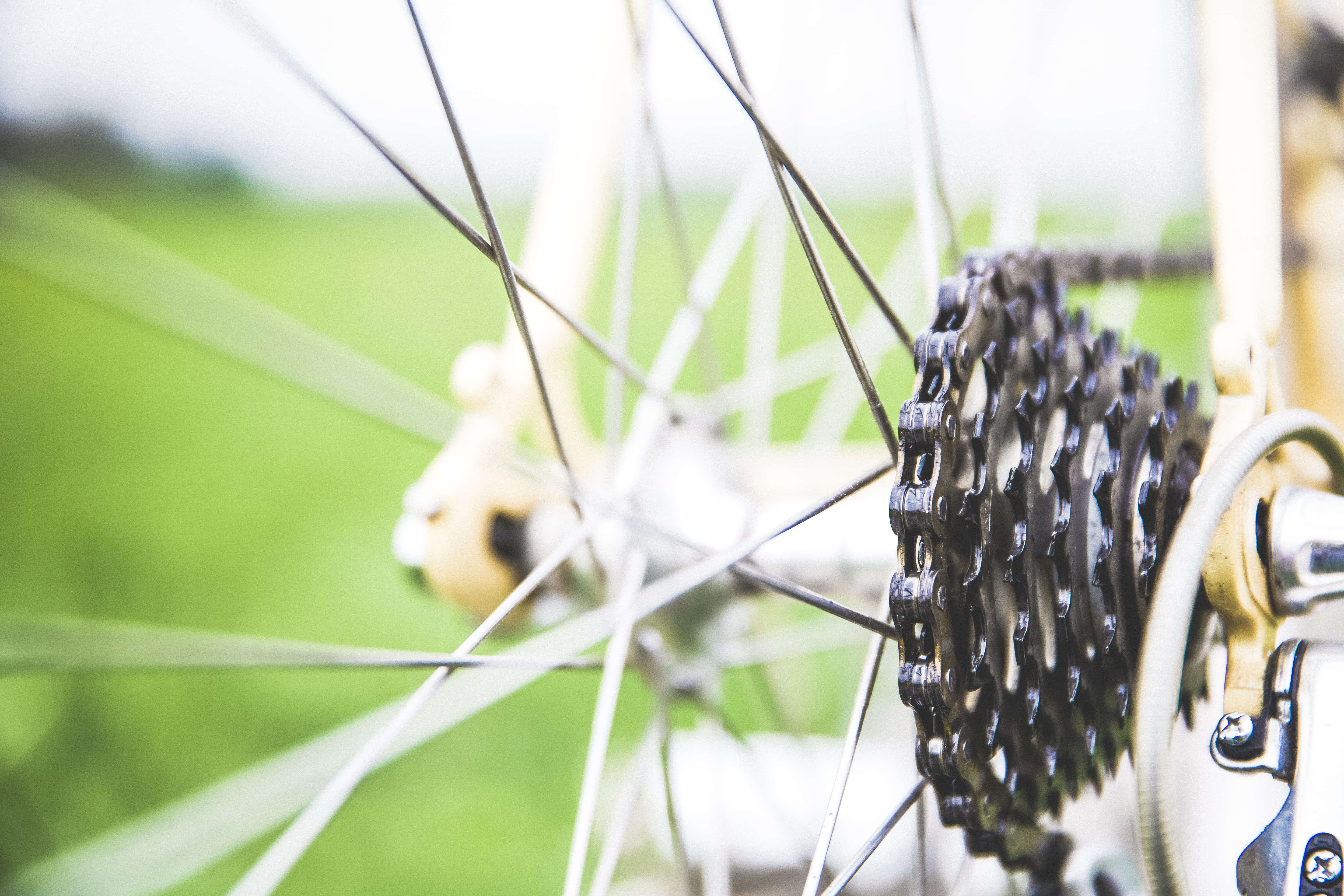 spoke, tire, no people, grass, day, blade of grass, cycle, bicycle, design, fixed gear, crown gear, gear ring, black color, high speed, chrom, focus on foreground, HD Wallpaper