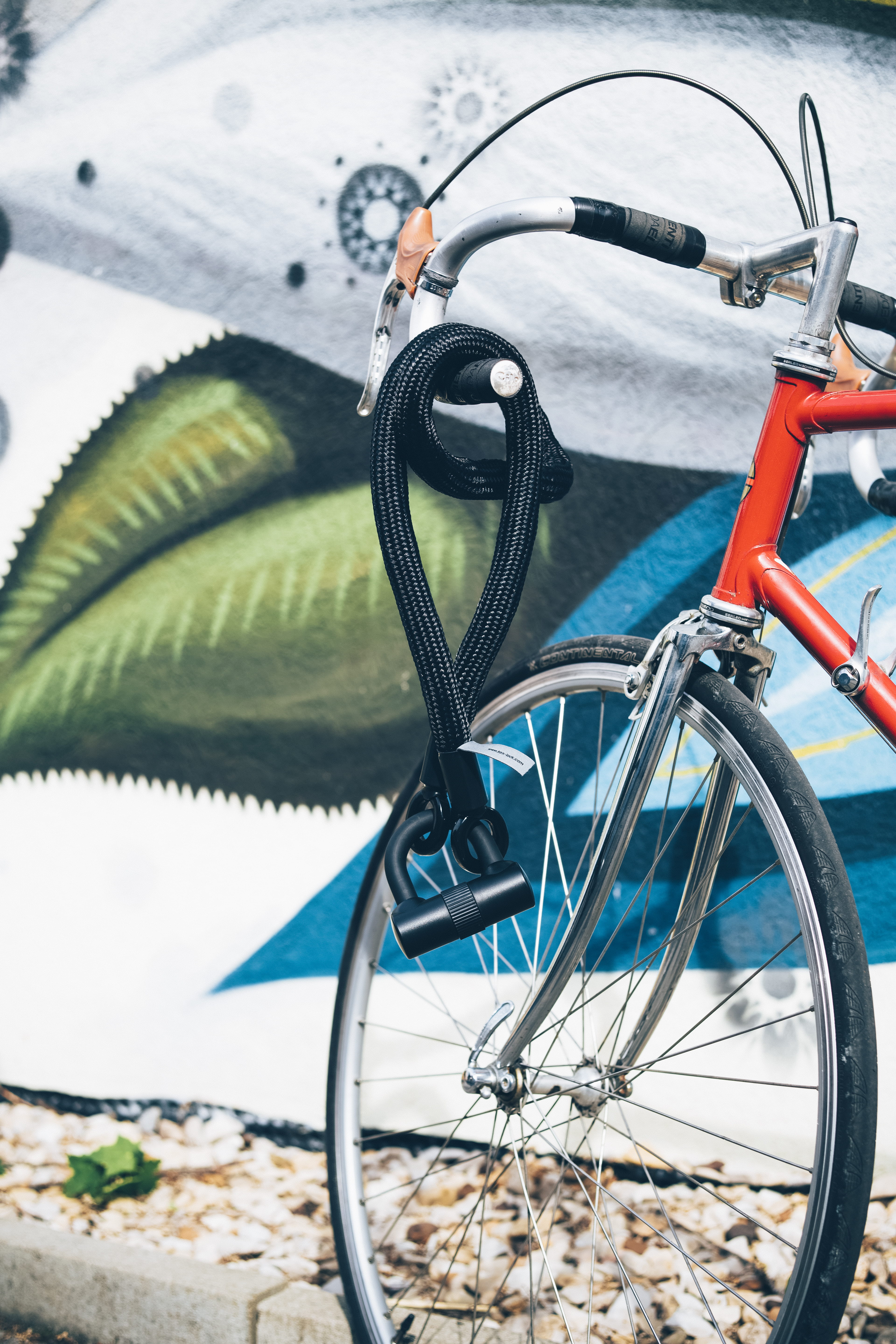 fixed gear, protection, design, classic, secure, plant part, wheel, metal, transportation system, spoke, object, focus on foreground, transportation, tire, Phone HD Wallpaper