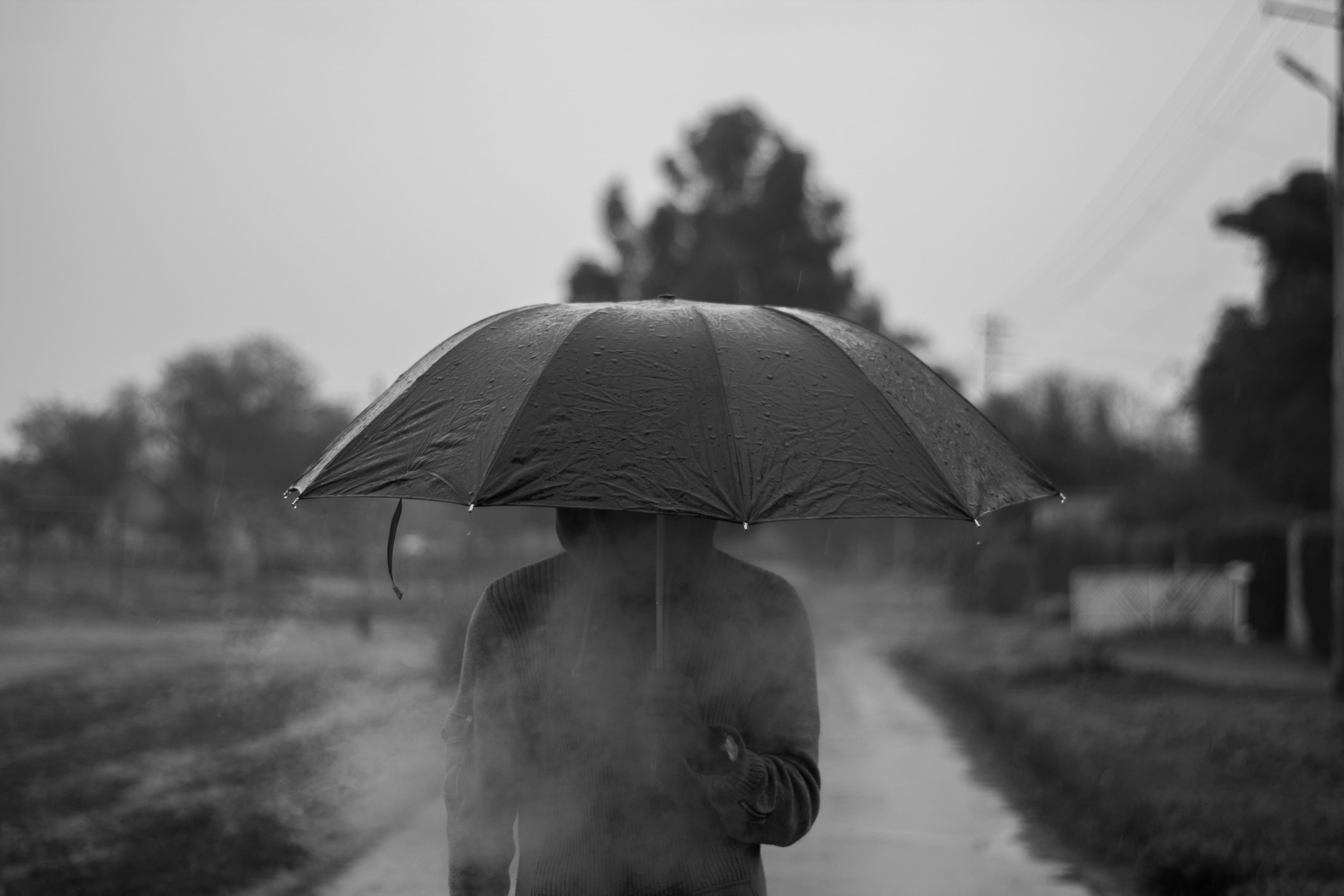 blur, black-and-white, wear, 4K, field, rainy season, parasol, plant, person, monochrome, security, cold, nature, real people, protection, rear view, environment, HD Wallpaper