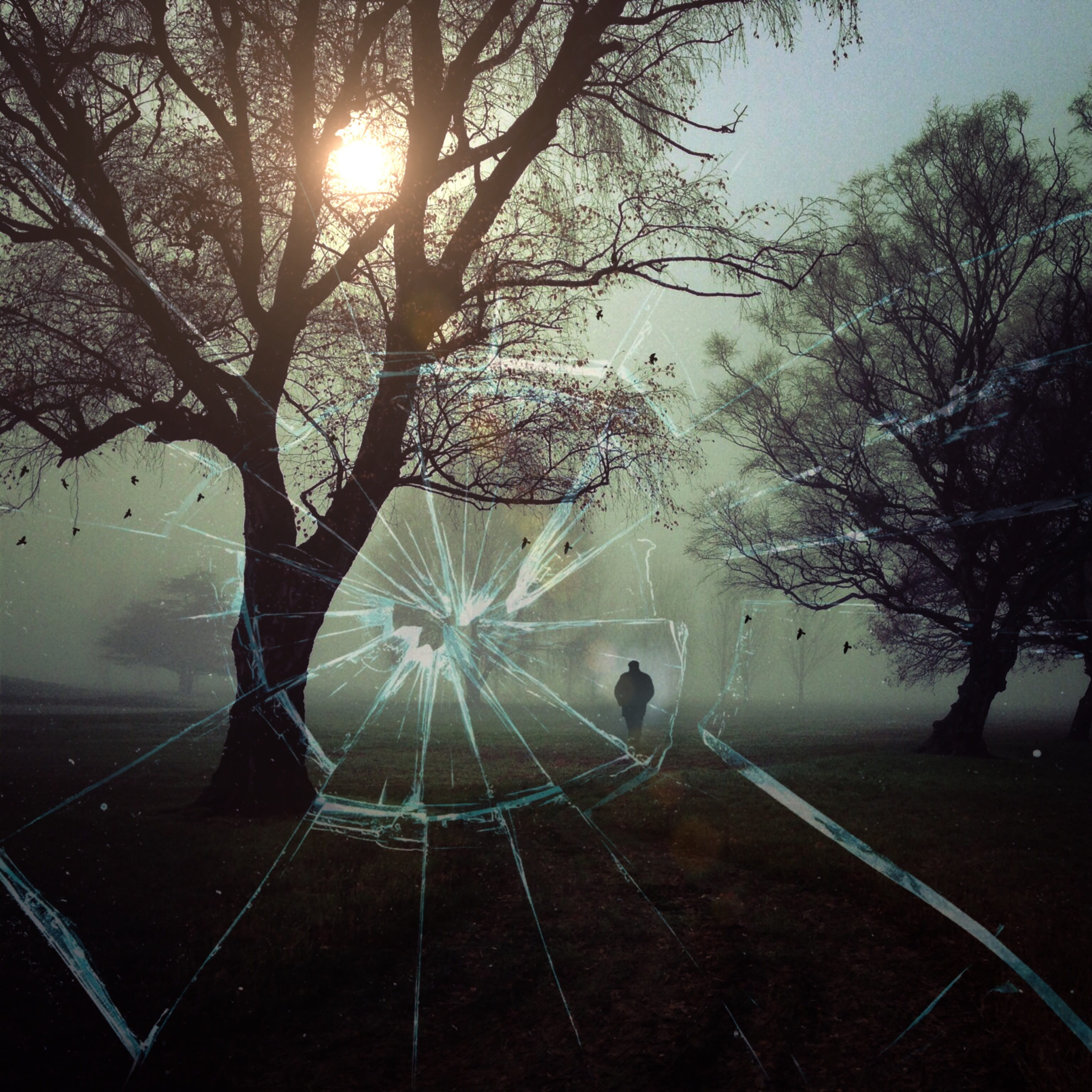 lens flare, birds, assassination attempt, sunlight, unrecognizable person, still, real people, nature, standing, tranquility, night, shot, bright, lonely, Phone HD Wallpaper