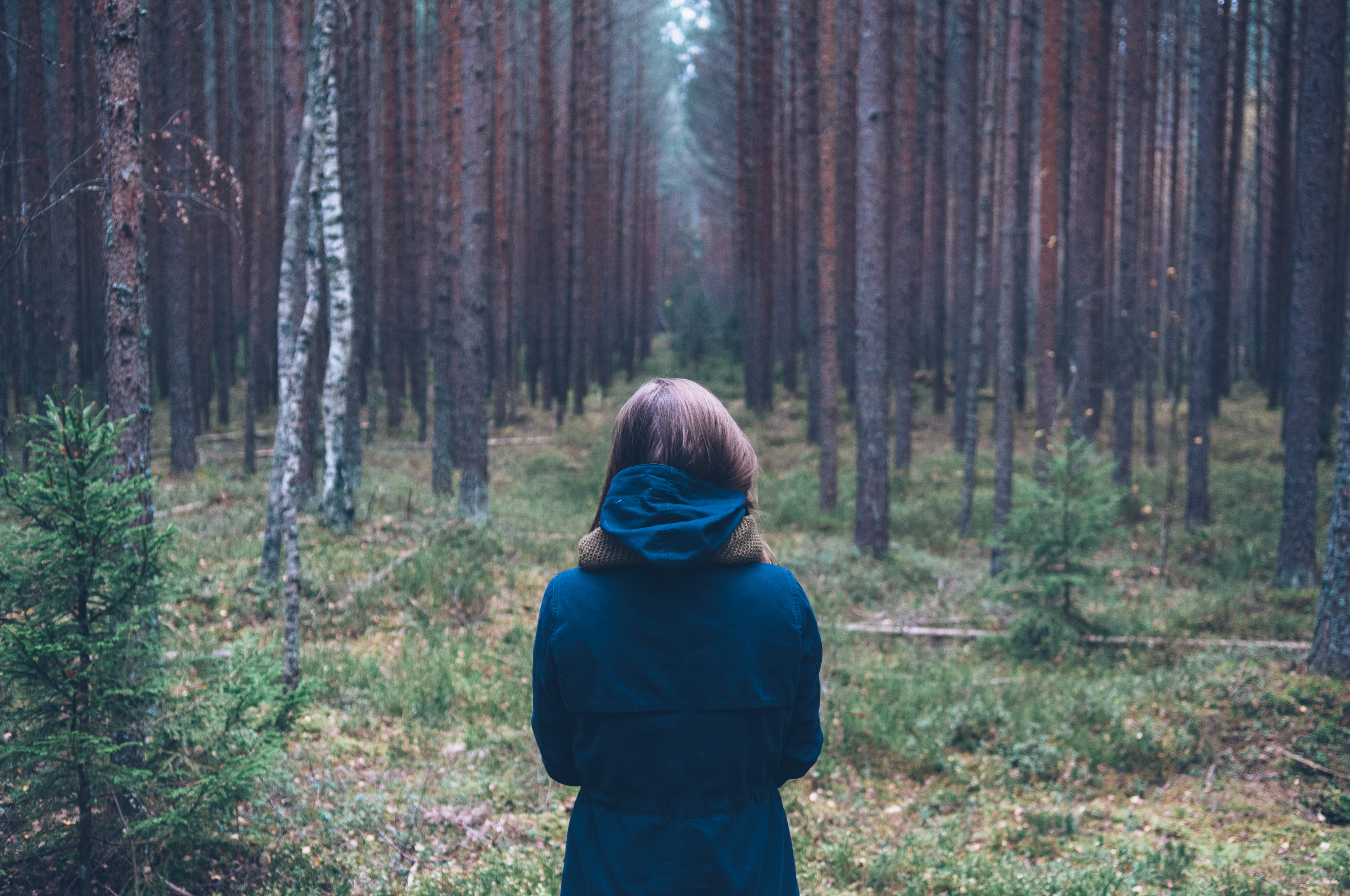 standing, one person, adult, outdoors, tree trunk, land, portrait, plant, towards, landscape, day, trunk, facing, hood - clothing, hairstyle, wearing, hood, HD Wallpaper