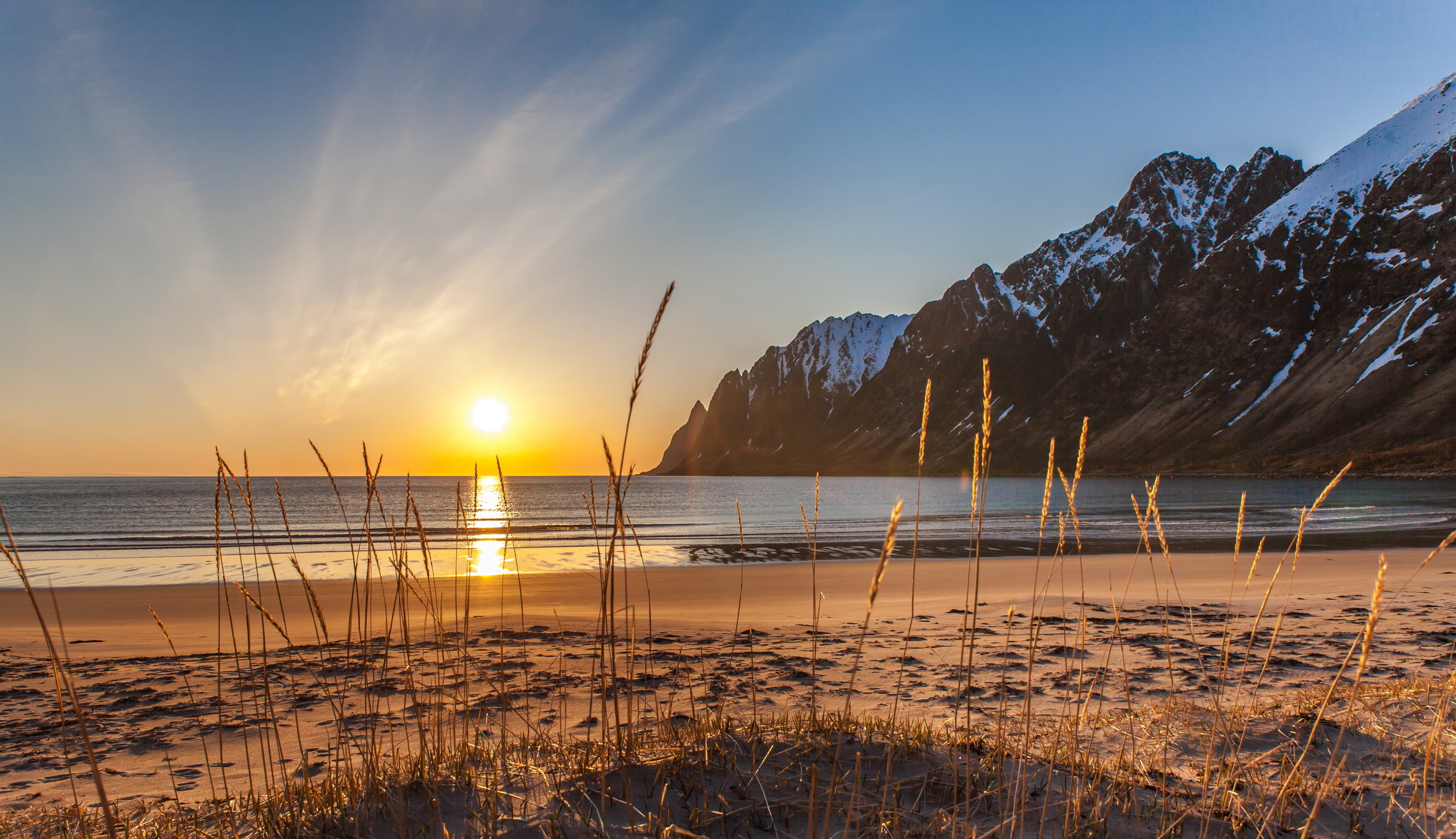 Norway, winter, snow, grass, Ersfjordbotn, sand, sea, beach, 2K, Senja, mountains, HD Wallpaper