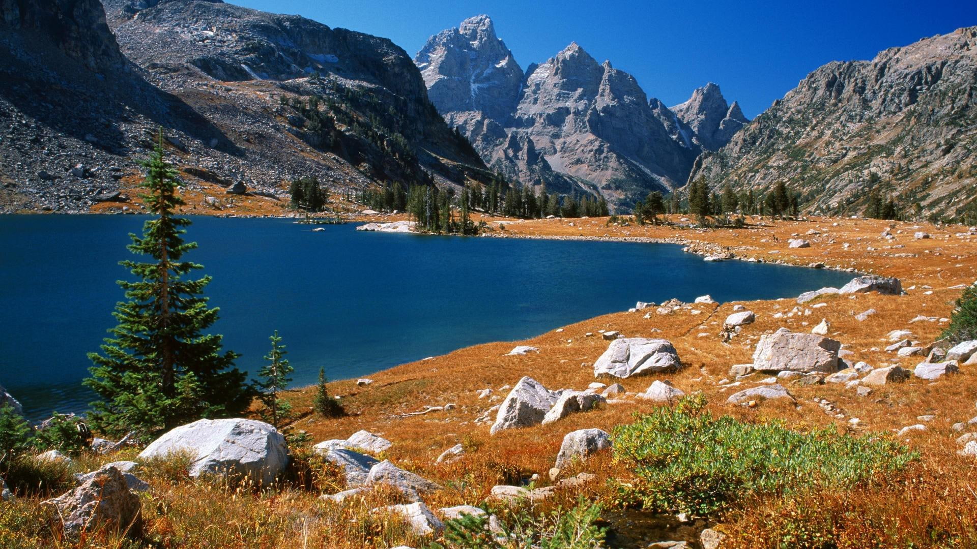 grand teton, wyoming, 1920x1080, grand, teton, tree, pine, near, 1080P, solitude, lake, nature, HD Wallpaper
