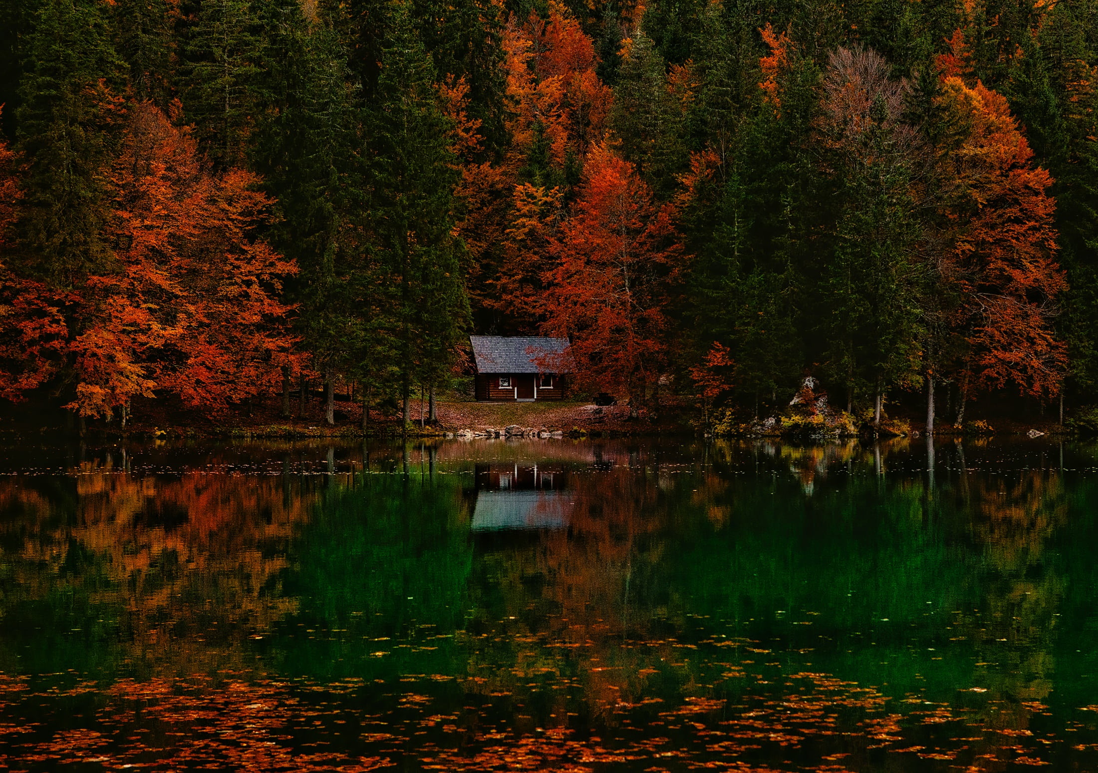 woodland, rural, scenics - nature, serenity, hideaway, no people, near, landscape, lake, waterfront, water, cottage, beauty in nature, idyllic, reflections, HD Wallpaper