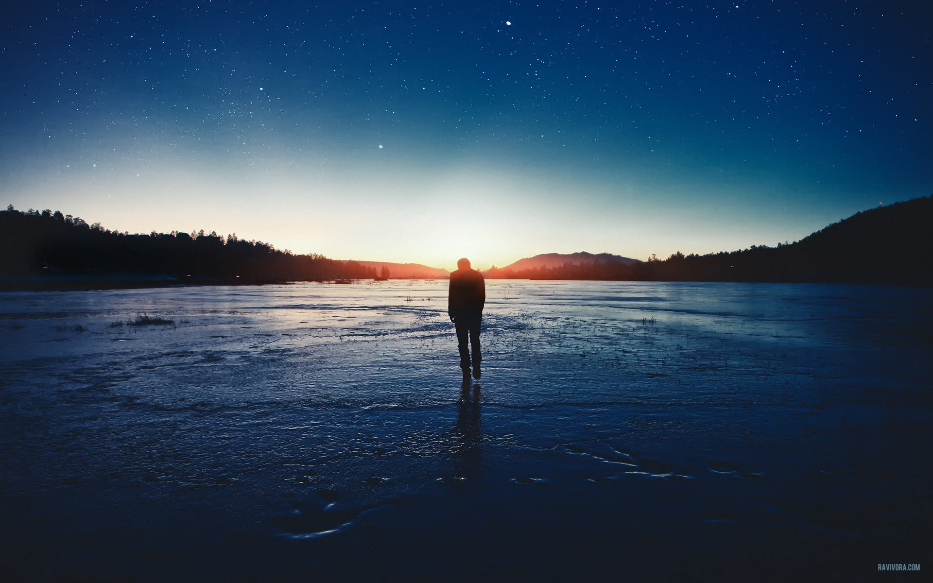 females, blue, milky Way, galaxy, lifestyles, scenics - nature, lake, star, sea, rear view, star - Space, real people, person, sky, people, night, stars, HD Wallpaper