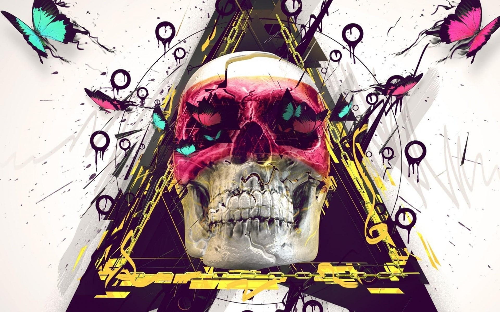 1080P, day, no people, human skeleton, emo, clip, creativity, human representation, indoors, spooky, art, skull, communication, bone, close-up, wall - building feature, HD Wallpaper