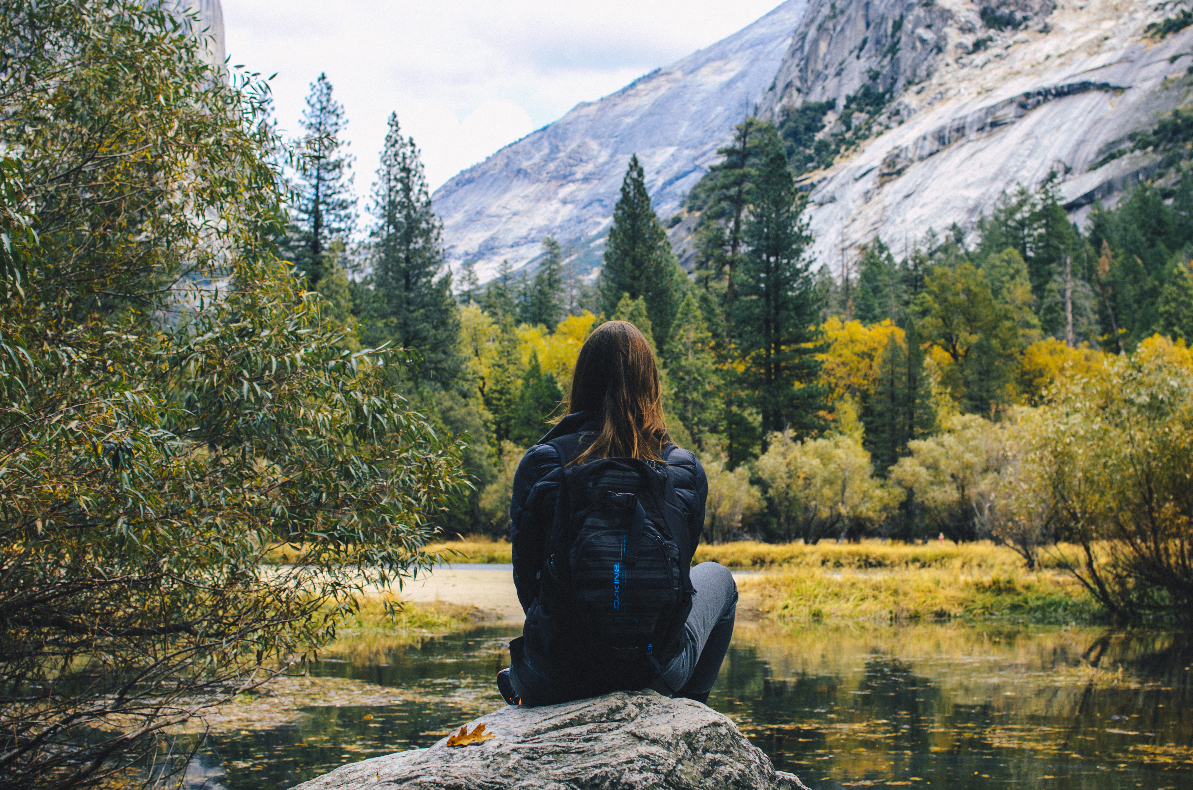 body, female, beauty in nature, tranquil scene, lake, adult, snow, green, outdoors, tree, water, rear view, tranquility, looking at view, woman, non-urban scene, HD Wallpaper