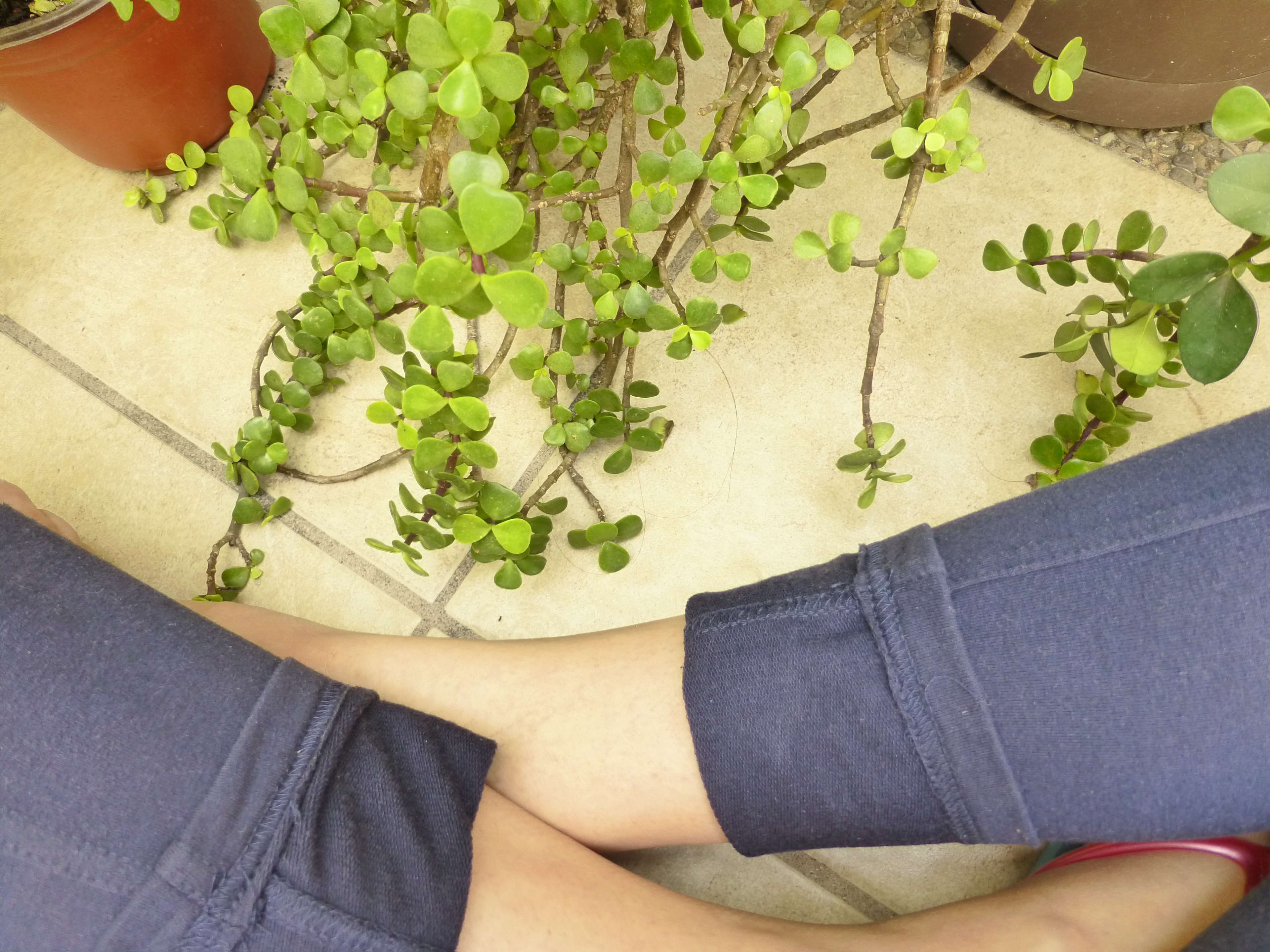 legs, relax, one person, nature, human leg, growth, food, plant, outdoors, plant part, freshness, 4K, low section, high angle view, green color, body part, HD Wallpaper