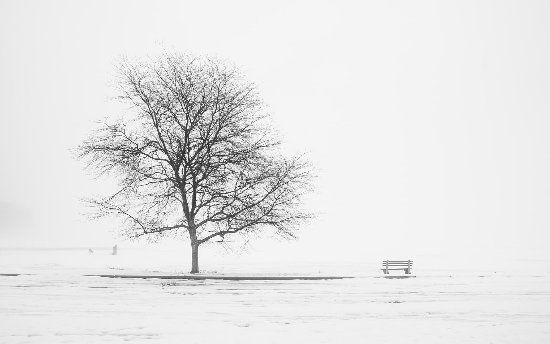 Landscapes, x, hd, art, Trees, bench, mood, 1080P, anime, 1920x1200 px, px, gundam, seed, HD Wallpaper