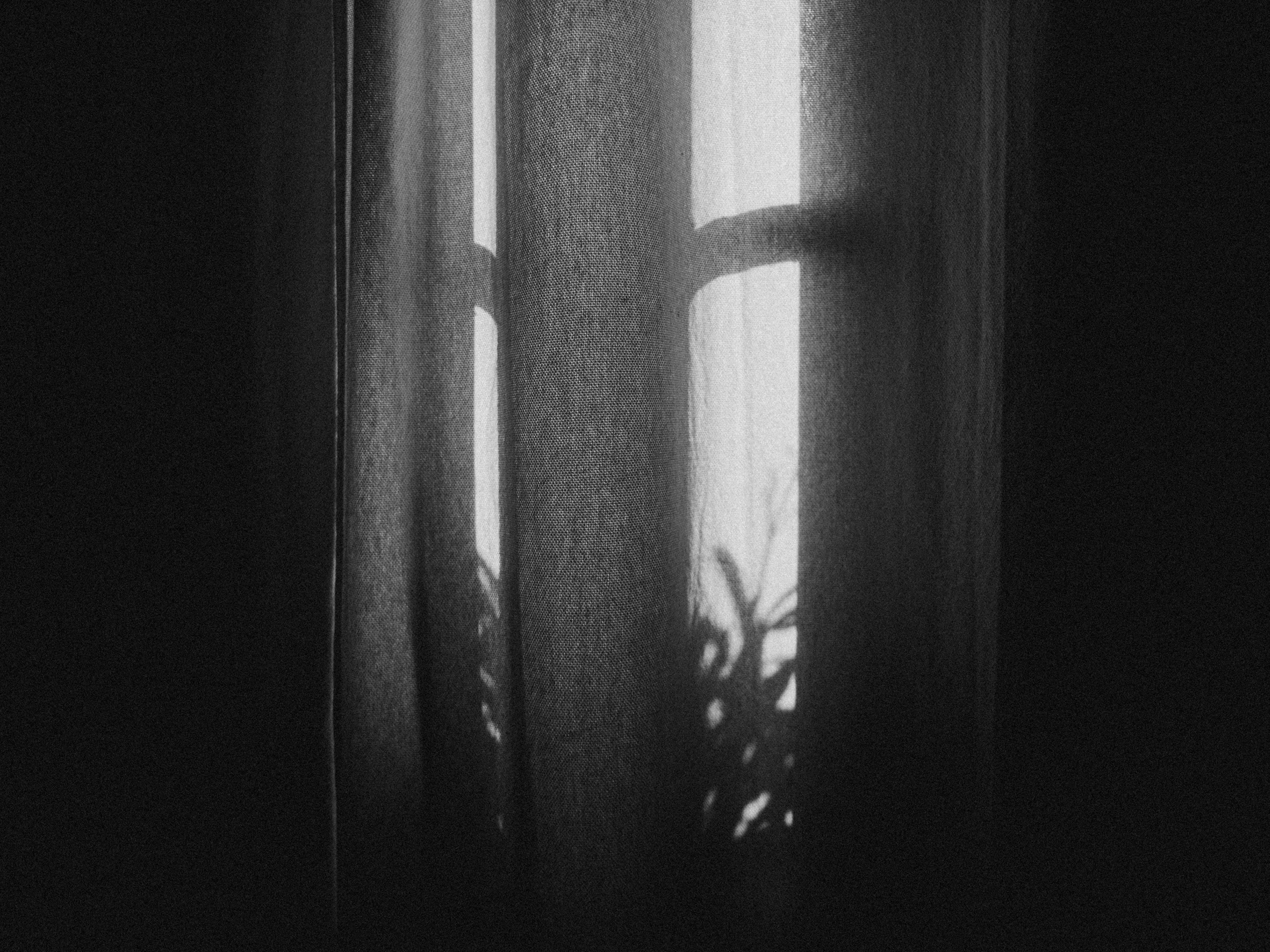 wall - building feature, light, monochrome, abstract, transparent, night, nature, women, glass - material, day, focus on shadow, shadow, domestic room, HD Wallpaper