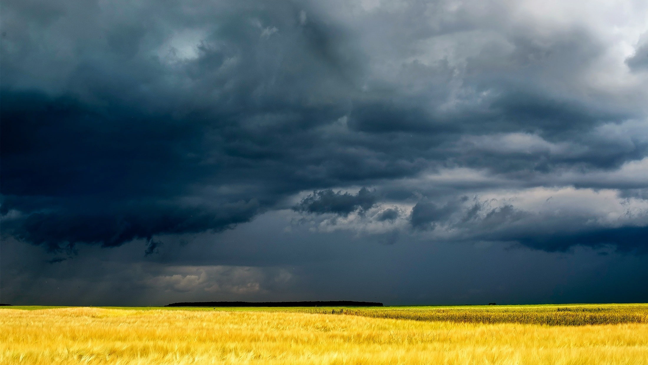overcast, 1080P, field, wheat, landscape, storm, nature, HD Wallpaper
