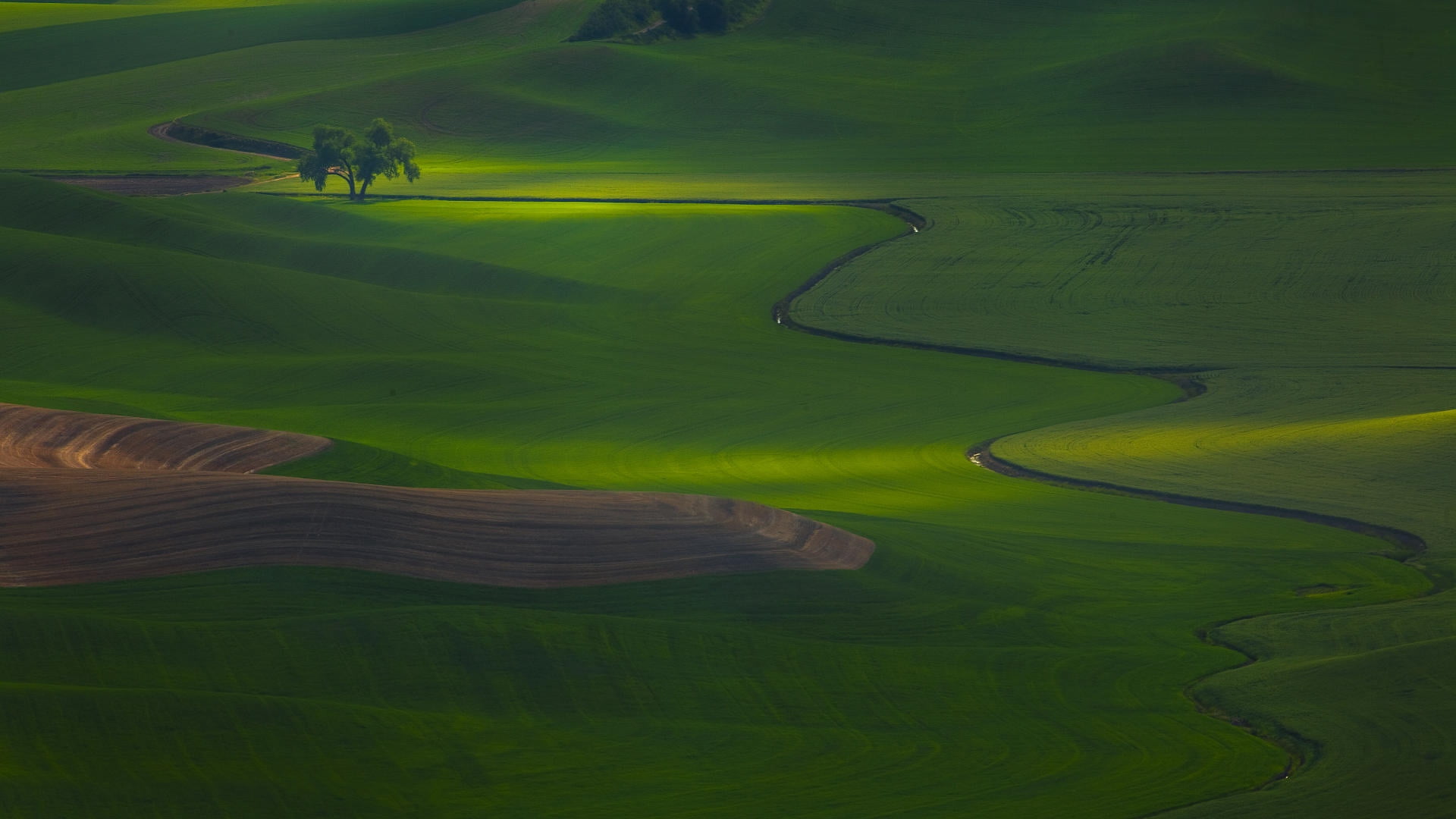 green, hill, outdoors, meadow, golf course, tranquility, day, rolling Landscape, monti Sibillini, italy, norcia, landscape, golf, rural Scene, field, plain, HD Wallpaper