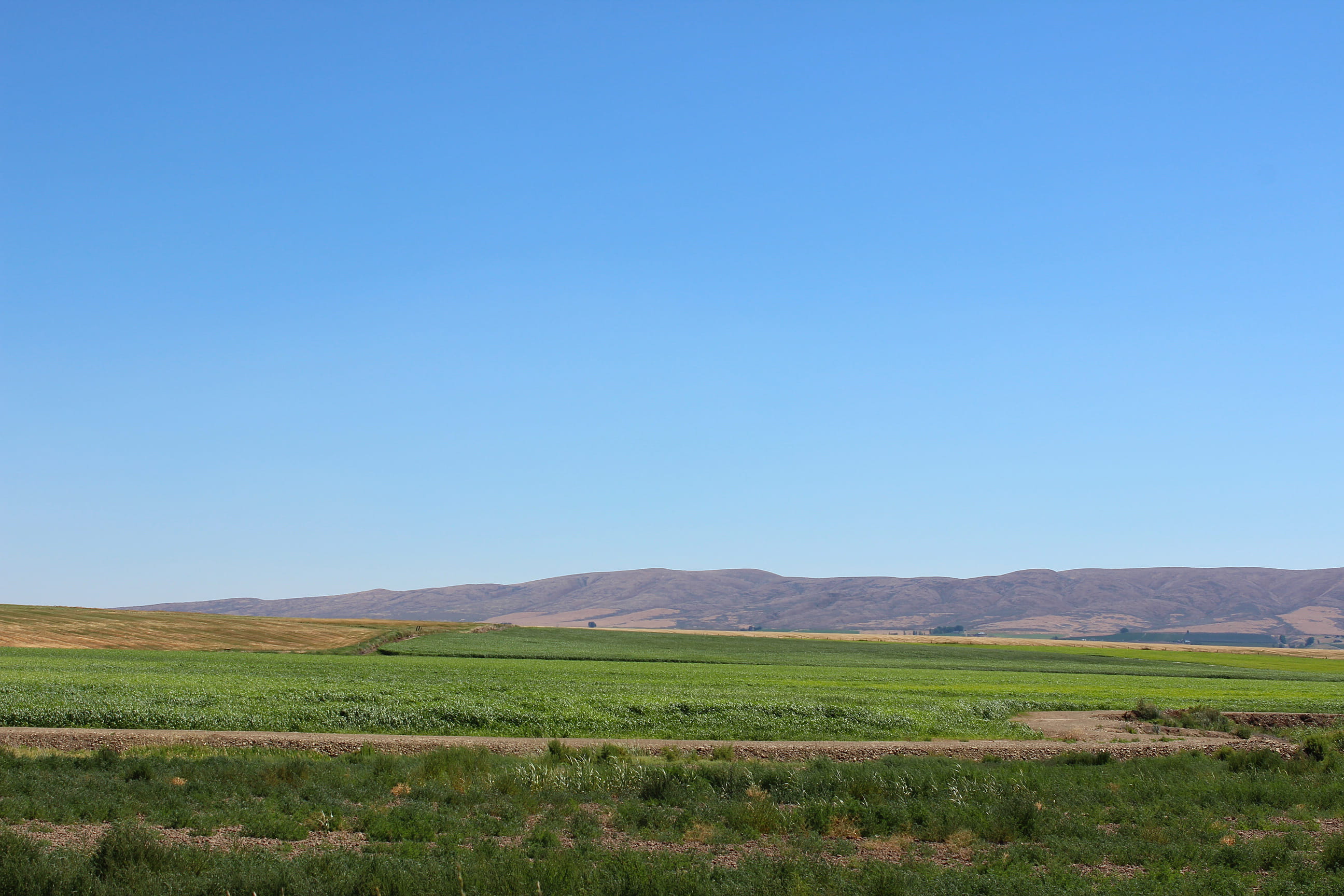 green color, outdoors, mountain, tranquility, 2K, beauty in nature, environment, scenics - nature, idyllic, field, sky, nature, eastern washington, plant, HD Wallpaper