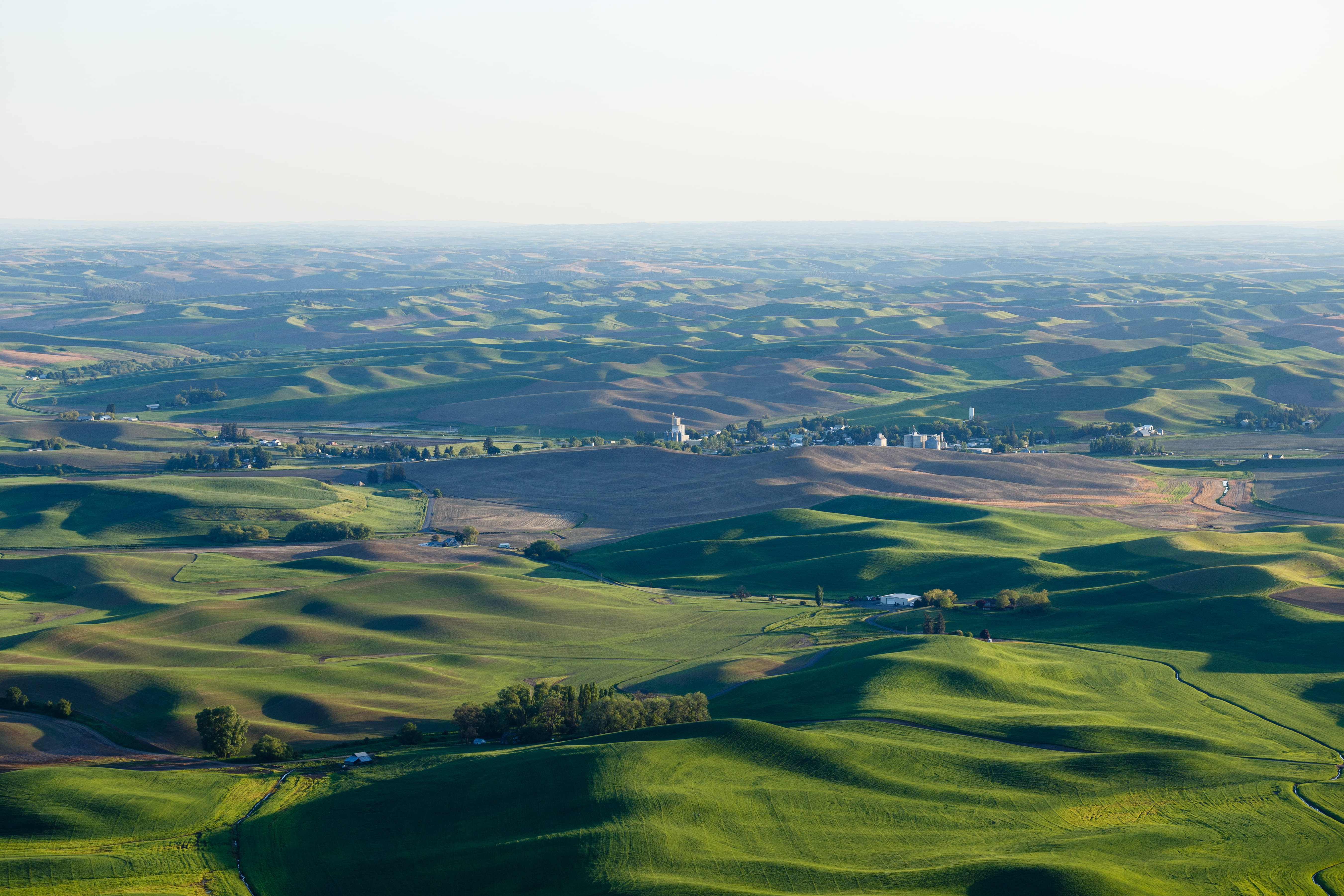 rolling hills, eastern washington, plant, whitman county, high angle view, farming landscape, landscape, patchwork landscape, green color, rolling landscape, HD Wallpaper