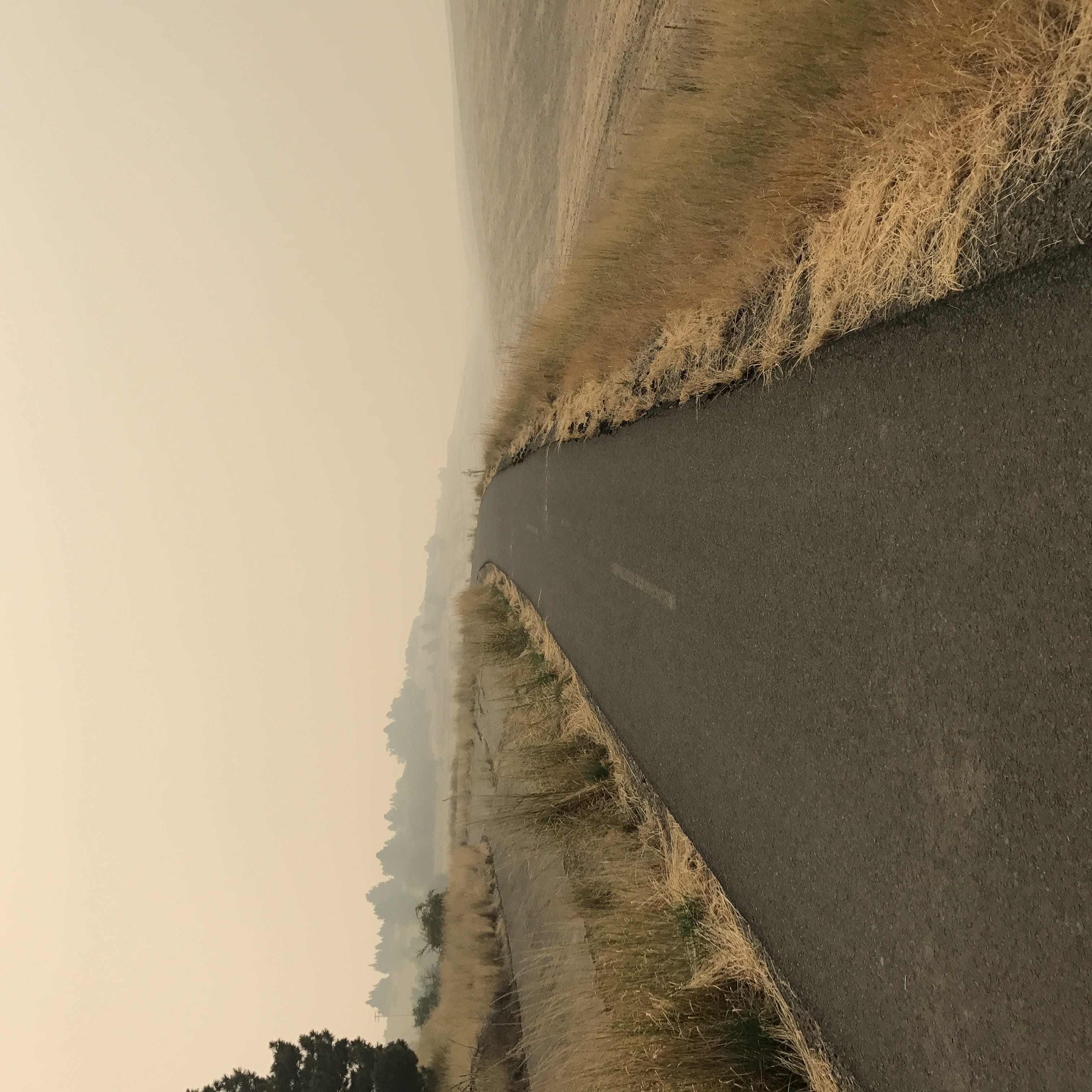 land, road, the way forward, nature, day, walla walla, no people, 2K, field, trail, non-urban scene, environment, landscape, sky, scenics - nature, outdoors, Phone HD Wallpaper