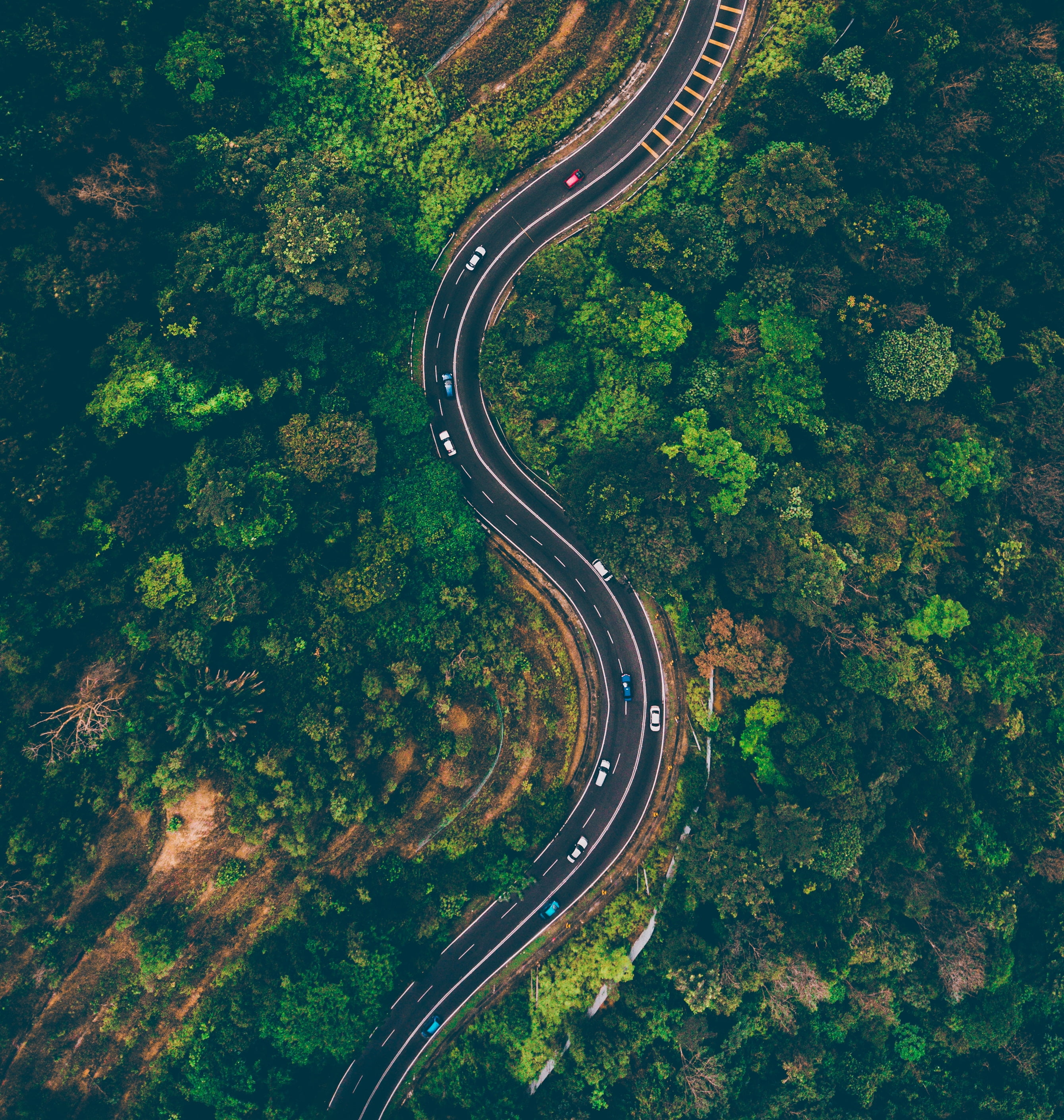 beauty in nature, outdoors, green color, batang kali, curve, transportation, non-urban scene, growth, high angle view, multiple lane highway, asphalt, black, Phone HD Wallpaper