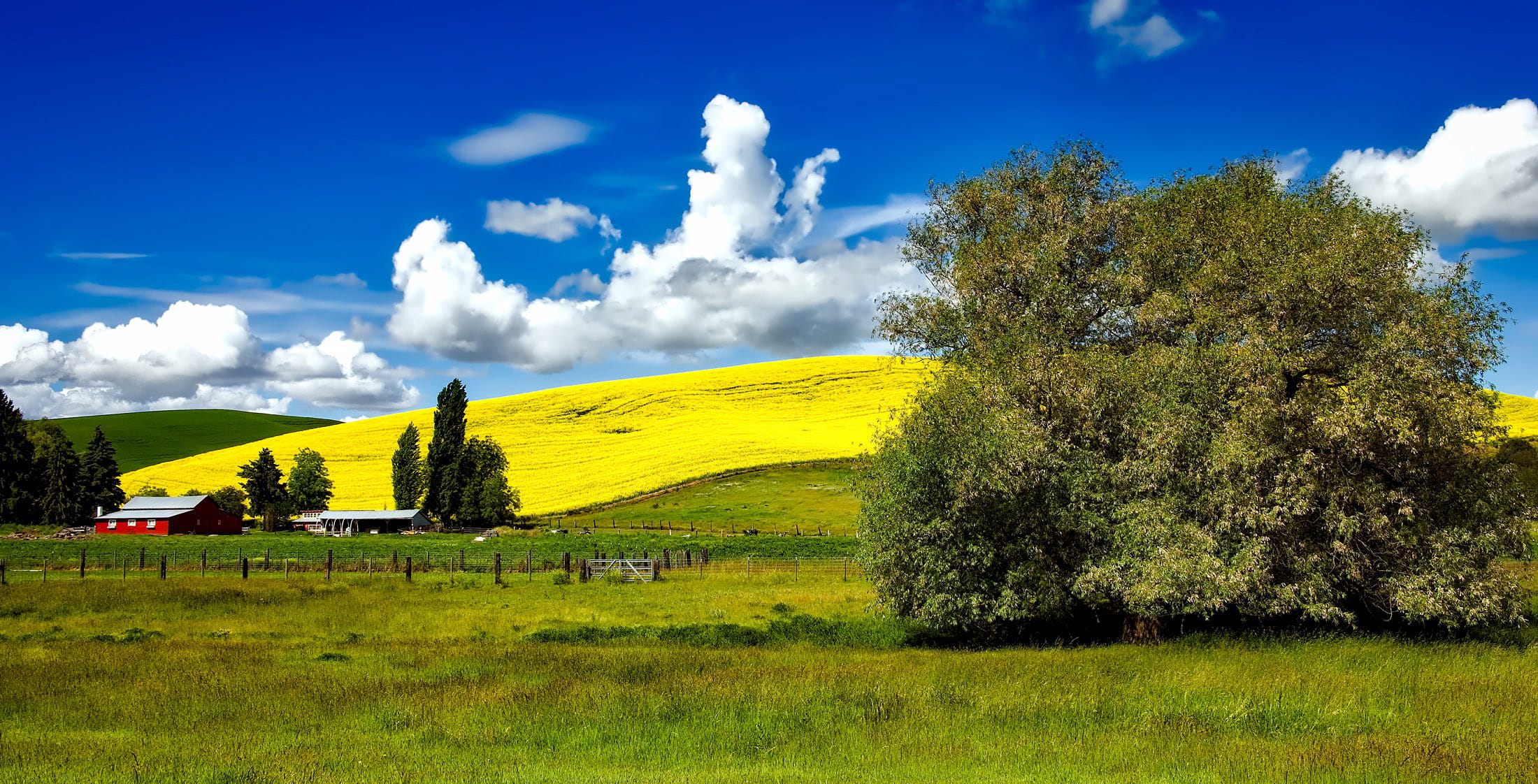 tranquility, beauty In Nature, no People, Landscape, Beautiful, grass, 1080P, idyllic, landscaped, landscapes, sky, outdoors, farm, europe, yellow, rolling landscape, HD Wallpaper