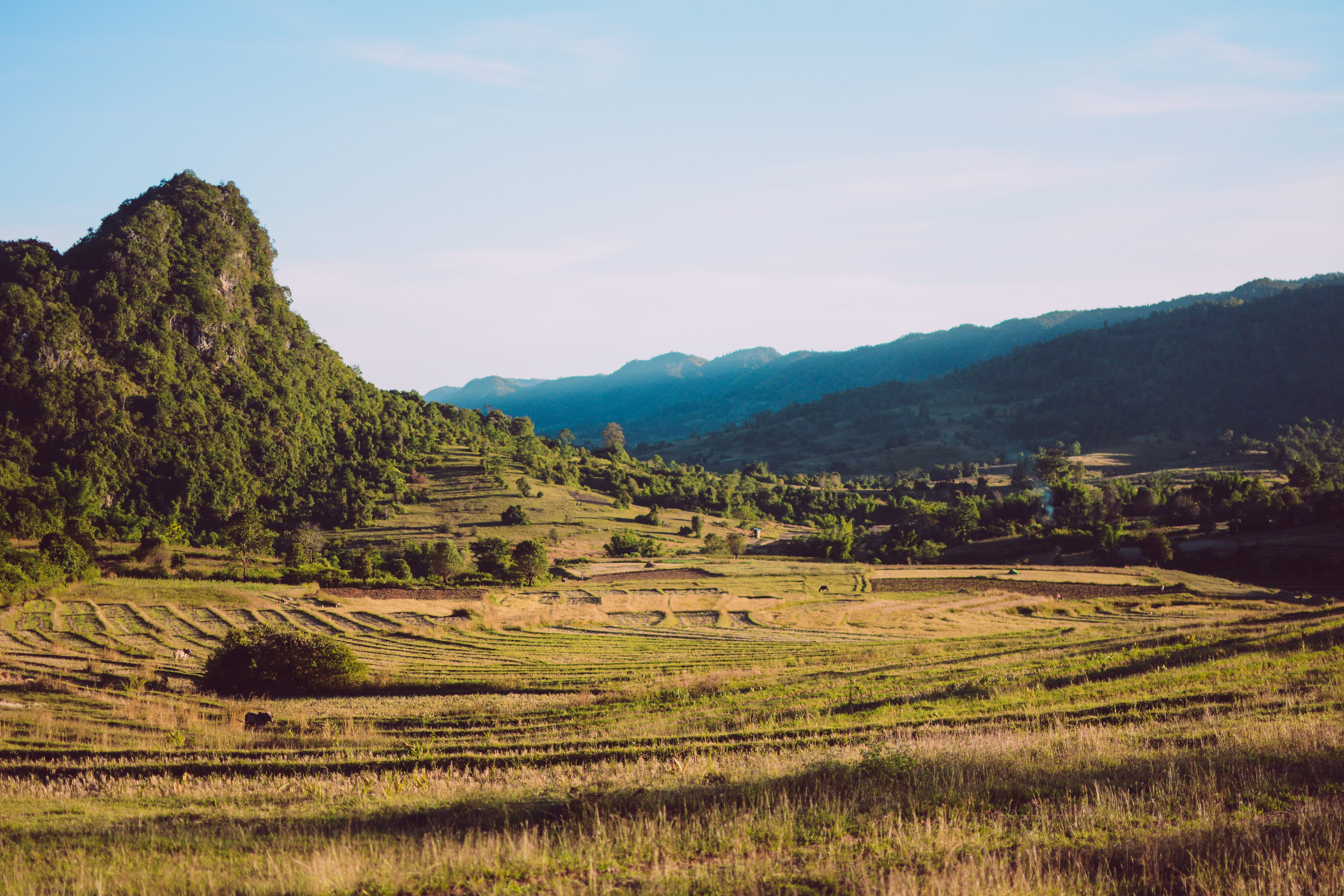 outdoors, travel, landscape, tree, field, shan state, mountain, farm, rural farming, agriculture, scenics - nature, environment, beauty in nature, tranquil scene, HD Wallpaper