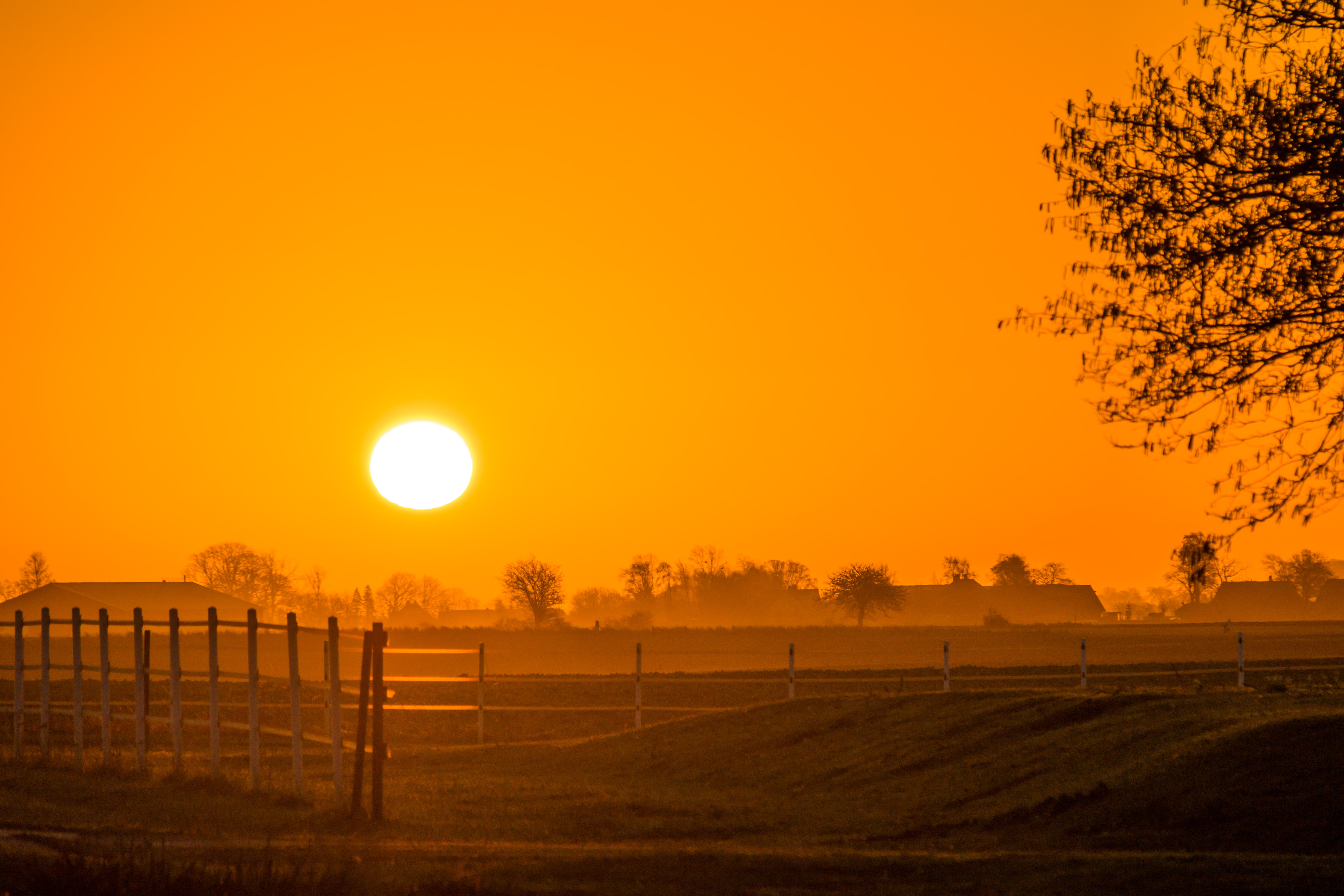 canon eos, camera, silhouette, scenics, plain, ƒ / 8, geo:location, field, outdoors, nature, aperture, 760d, Söderslätt, sunrise - Dawn, farm, ef, agriculture, HD Wallpaper