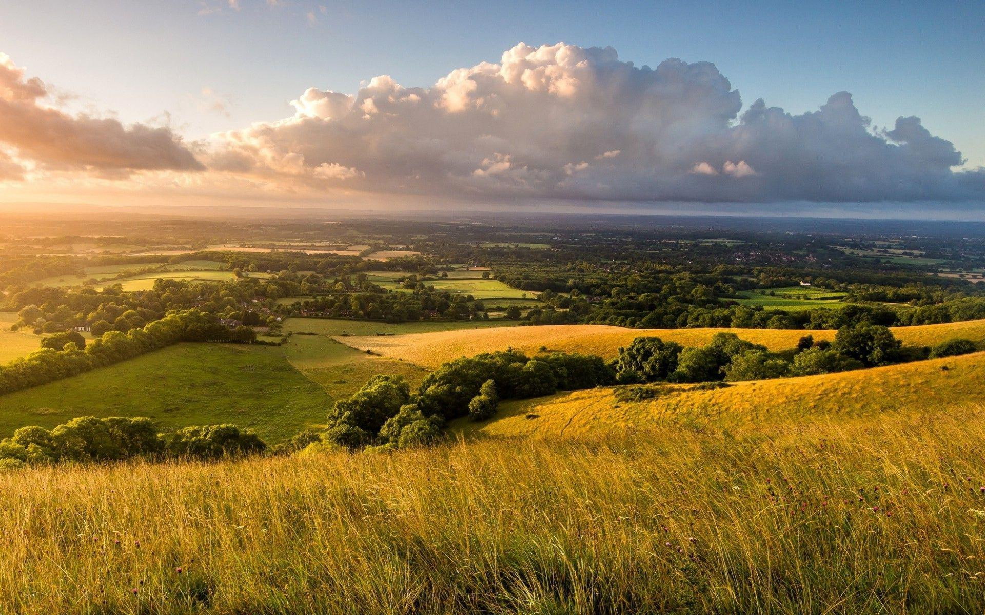 landscape, 1080P, nature, tree, 1920x1200, cloud, green, countryside, field, brown, wheat, HD Wallpaper