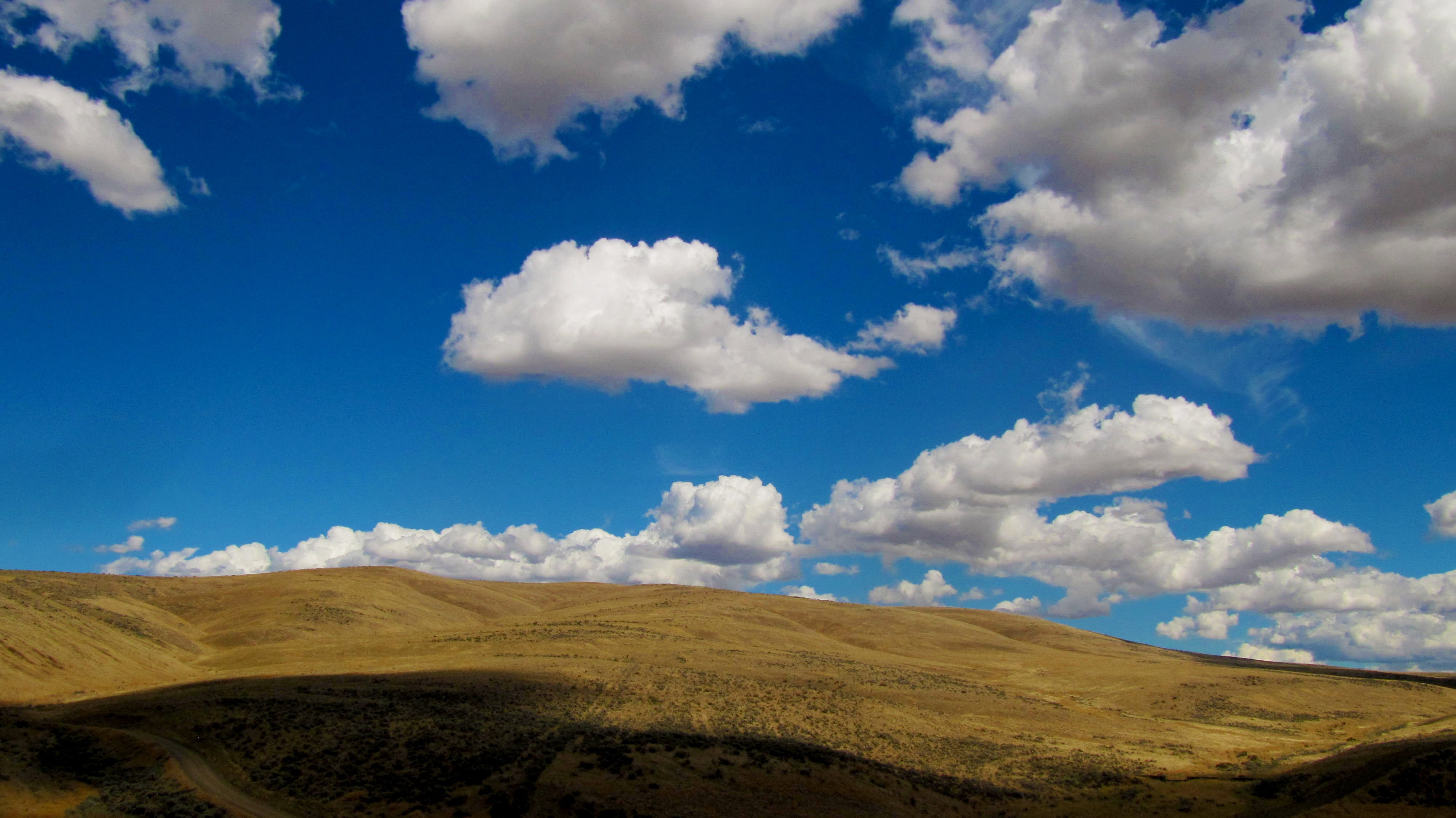 4K, semi-arid, daytime, non-urban scene, environment, scrub land, day, hill, outdoors, horizon over land, climate, eastern washington, no people, vista, HD Wallpaper