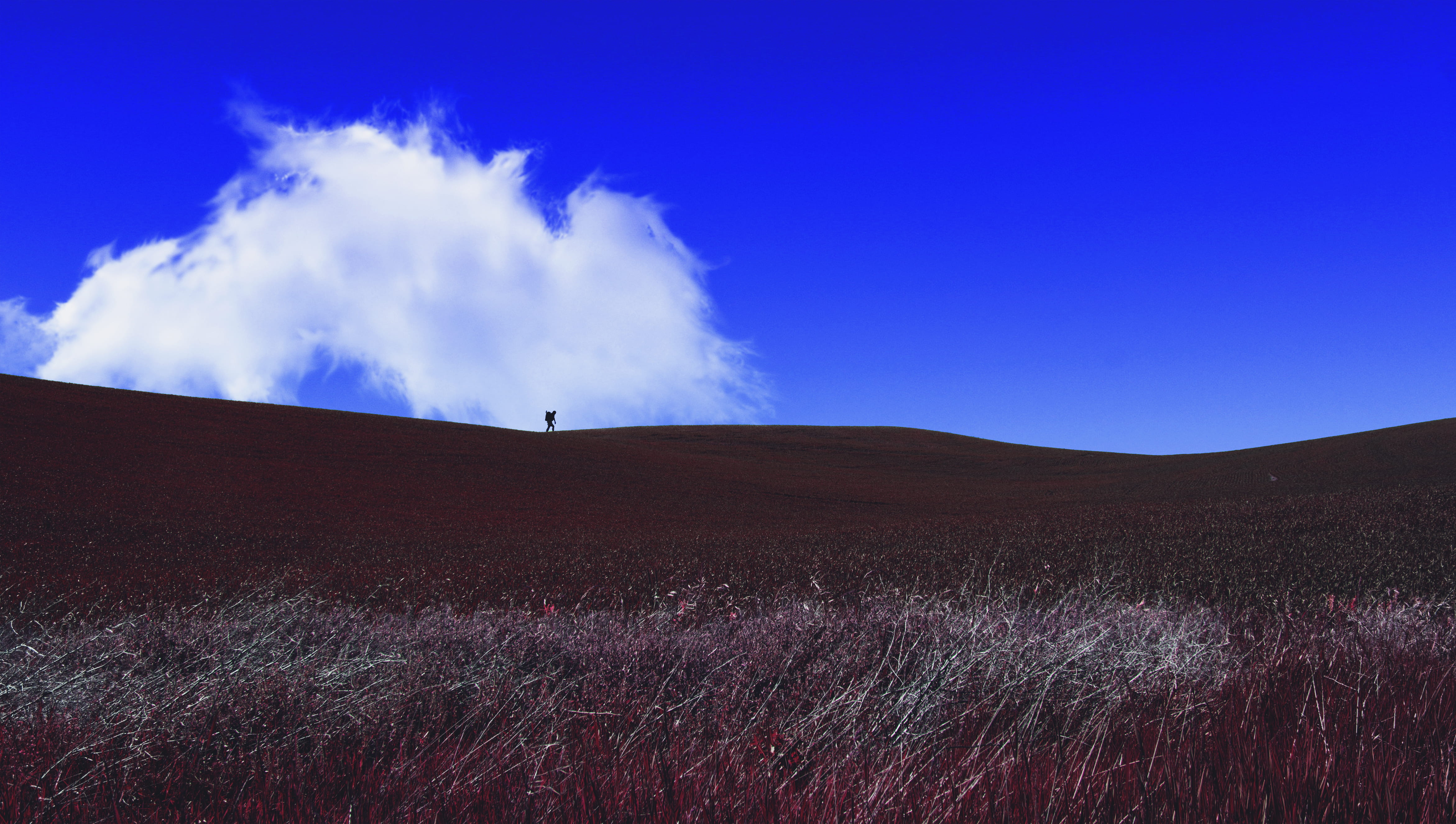 land, remote, hiking, tranquil scene, tranquility, hill, non-urban scene, day, the hicker, nature, scenics - nature, no people, field, sky, environment, HD Wallpaper