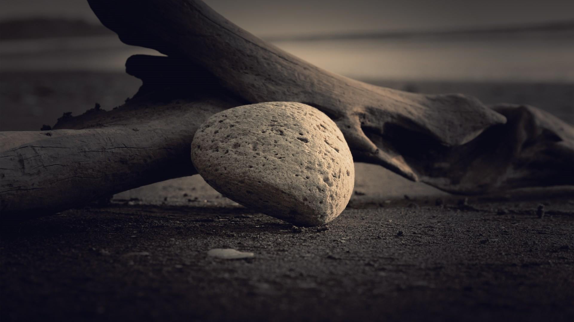 textured, stone - object, food, land, wood, food and drink, focus on foreground, selective focus, day, wellbeing, no people, outdoors, 1080P, nature, dirty, HD Wallpaper